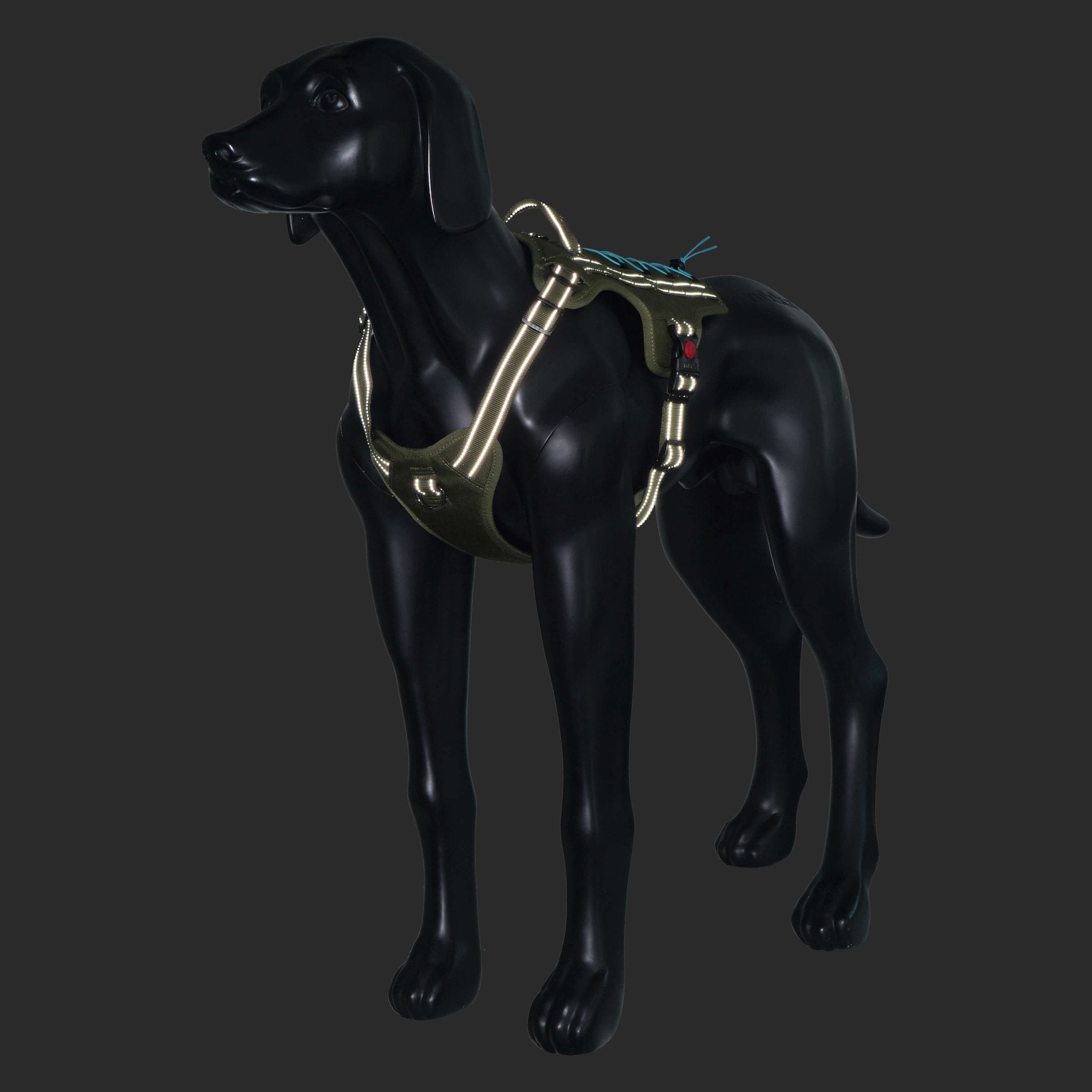 Mannequin of a dog wearing a reflective harness on a black background