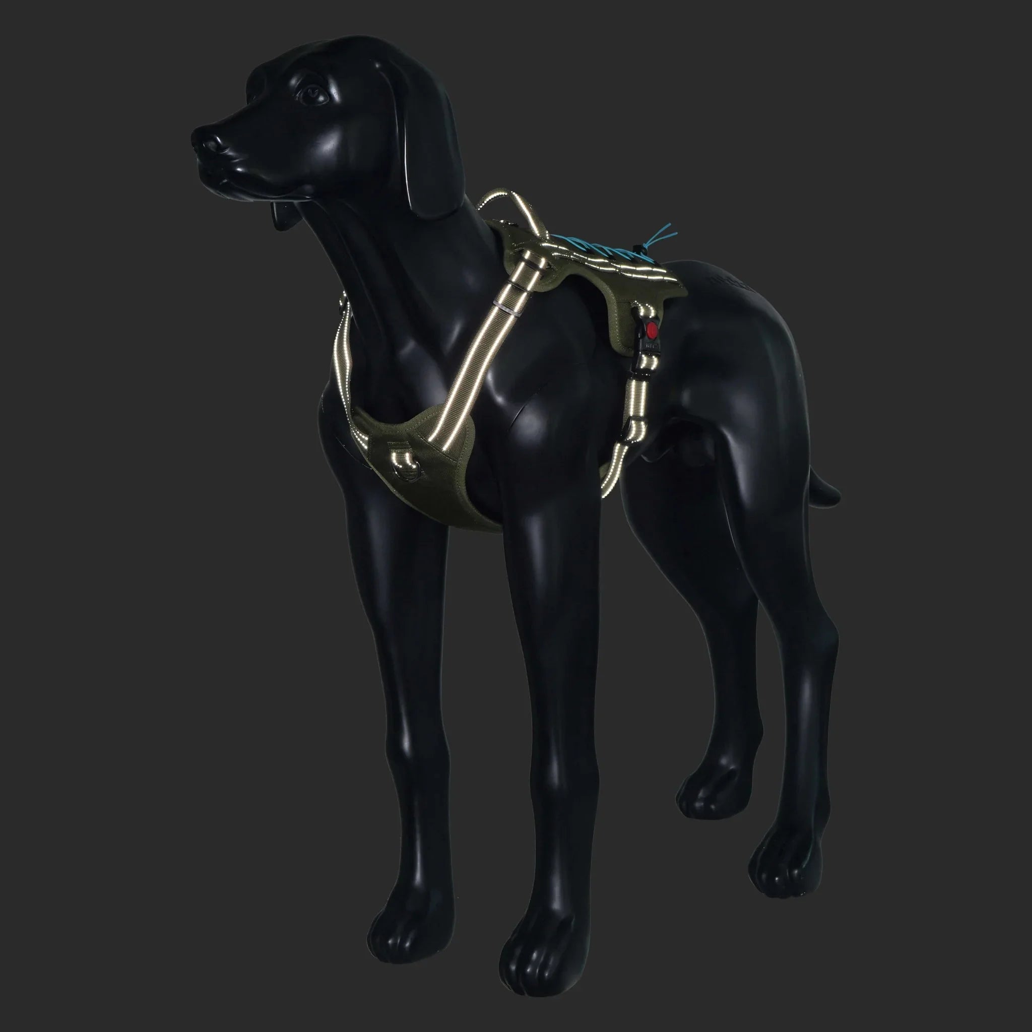 Mannequin of a dog wearing a reflective harness on a black background