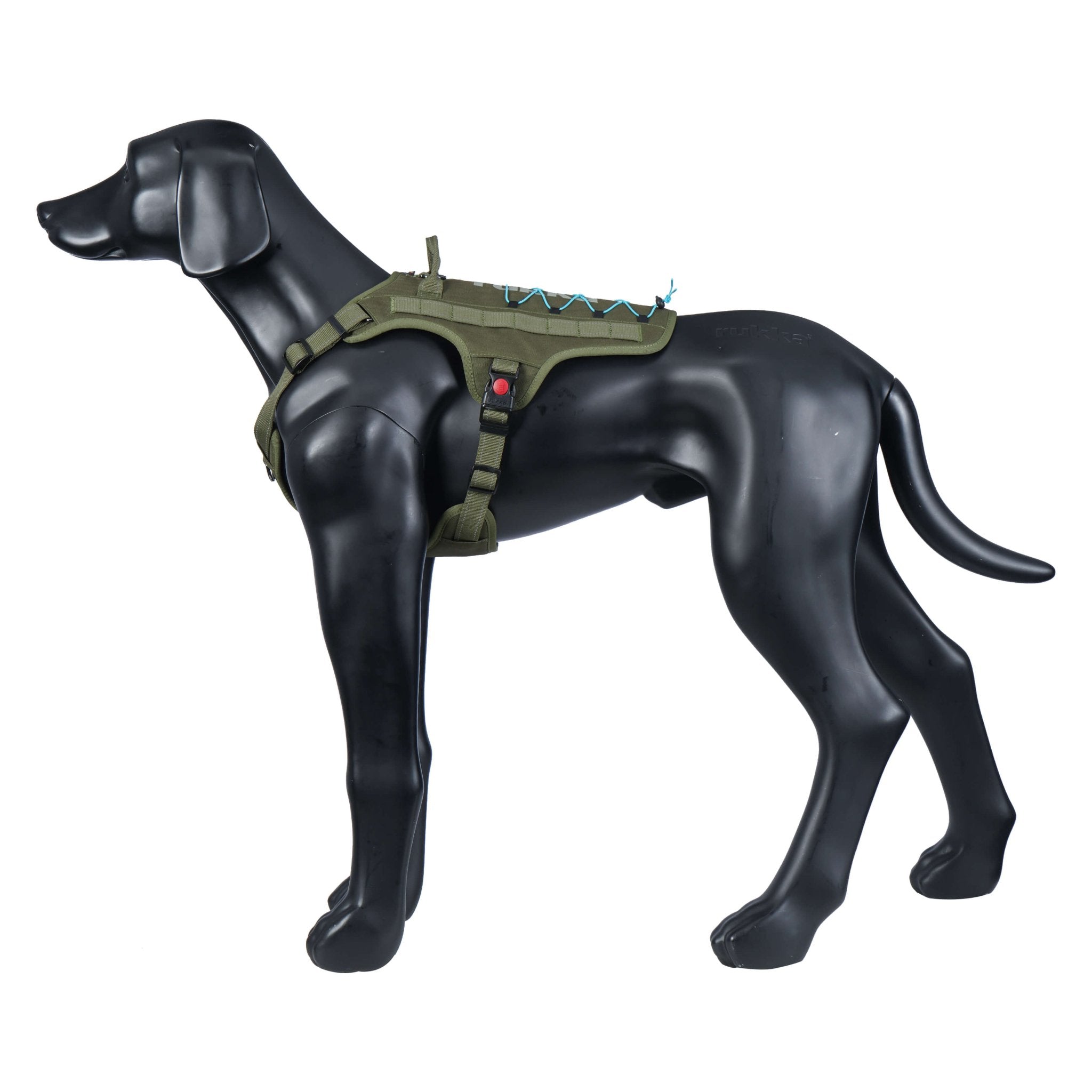 Black dog mannequin wearing a green tactical harness on a white background