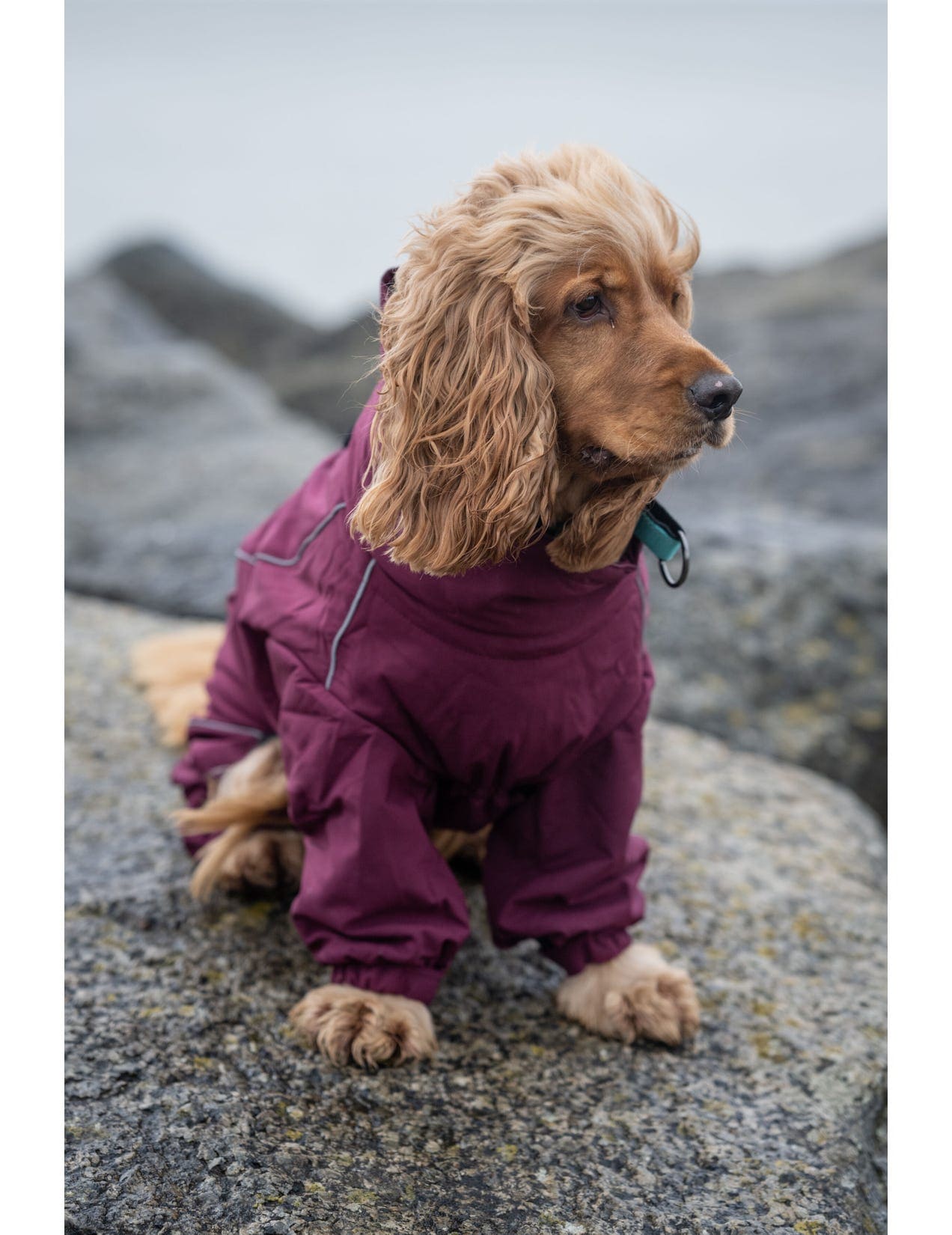 Dog Thermal Overall - Softshell, Plush-Lined & Weatherproof - Share Happy Outfits