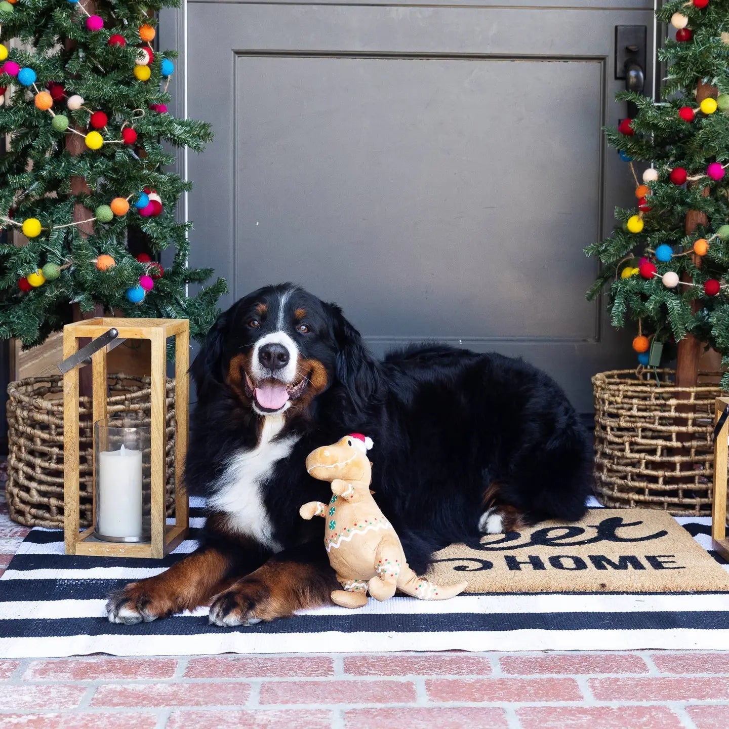 Dog sitting on a doormat with Christmas decorations and trees in the background