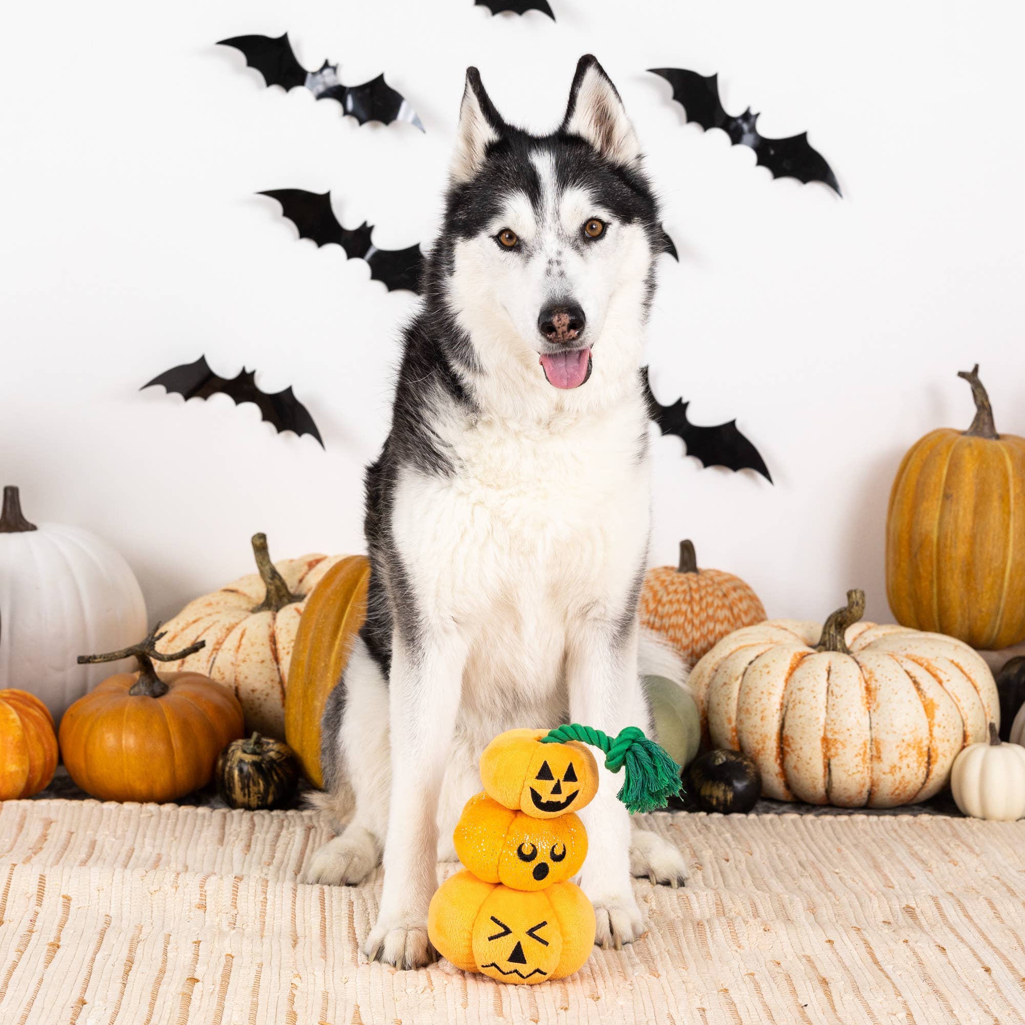 Fringe STACK-O-LANTERN - Share Happy Outfits