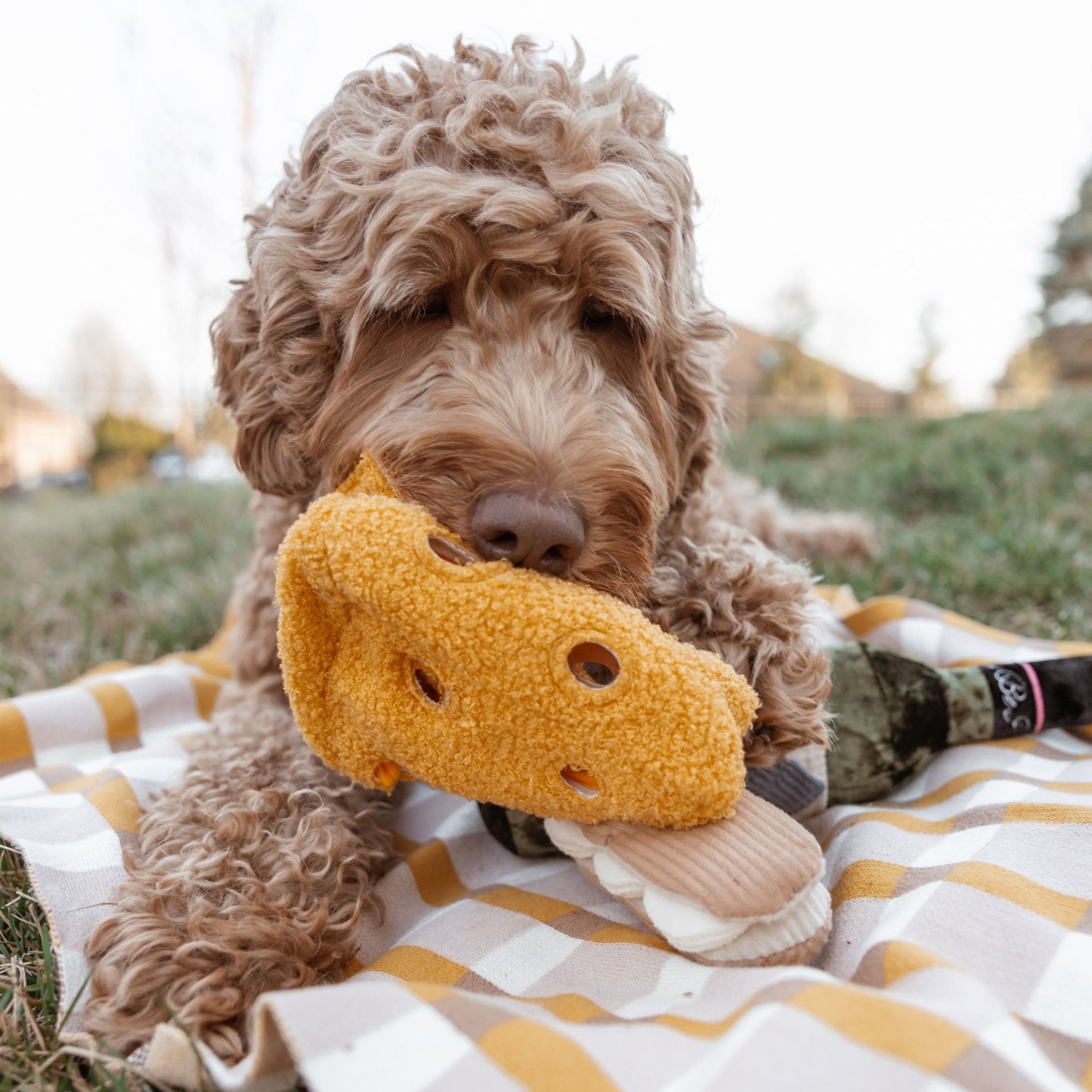 Fromage – Interactive Snuffle & Burrow Dog Toy - Share Happy Outfits