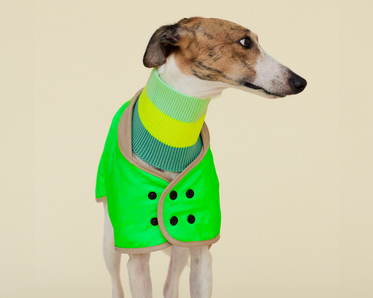 The Glow Raincoat - Green - Regular Fit - Share Happy Outfits