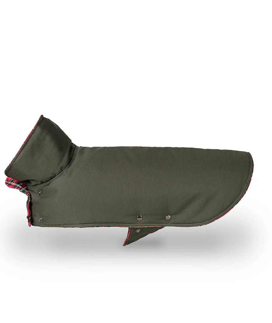 Green Dog Coat – Water-Repellent Gabardine with Tartan Tremp Lining - Share Happy Outfits