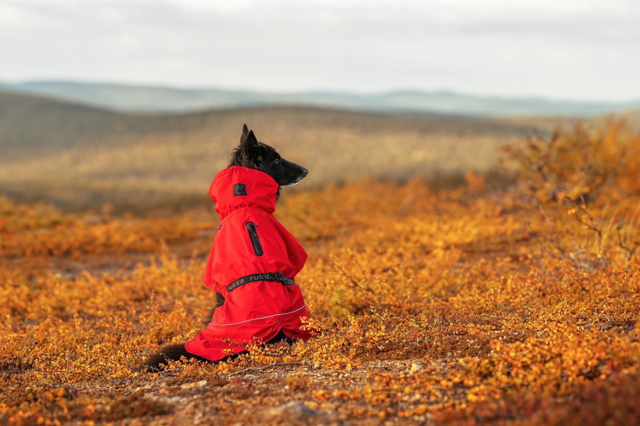 Hayton Eco Water‑Repellent & Breathable Raincoat - Share Happy Outfits