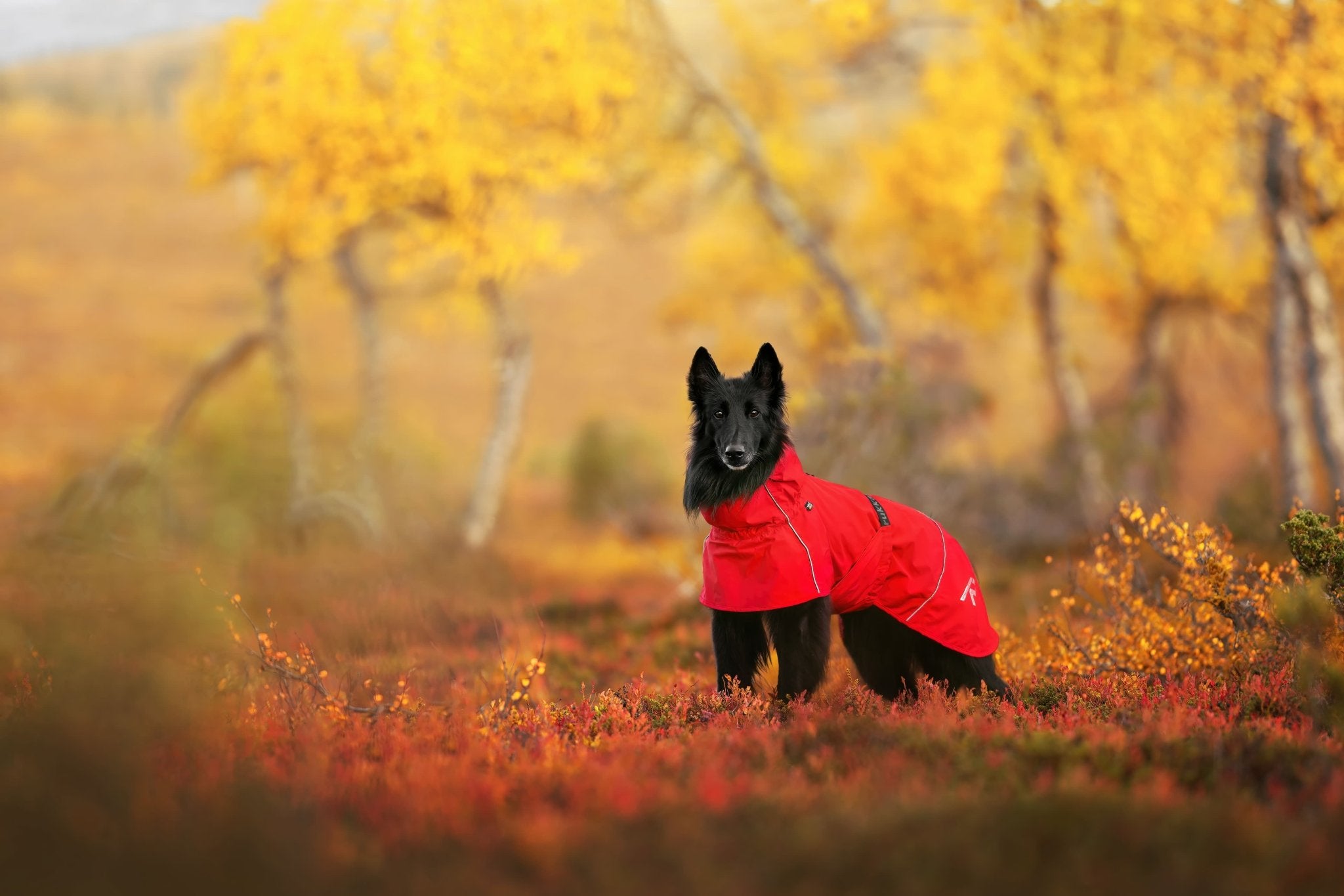Hayton Eco Water‑Repellent & Breathable Raincoat - Share Happy Outfits