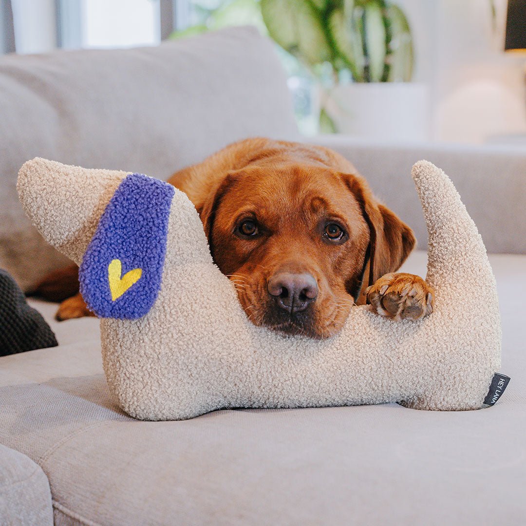 Chien allongé sur un lit moelleux pour animaux avec un coussin en forme de cœur violet sur un canapé.