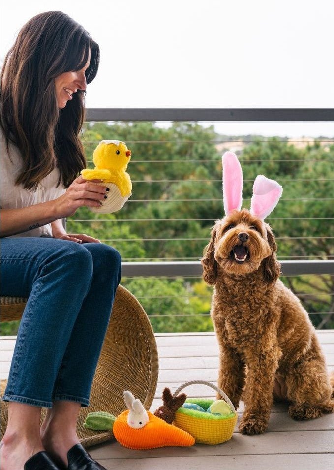 Woman holding a duck toy next to a dog wearing bunny ears on a balcony.