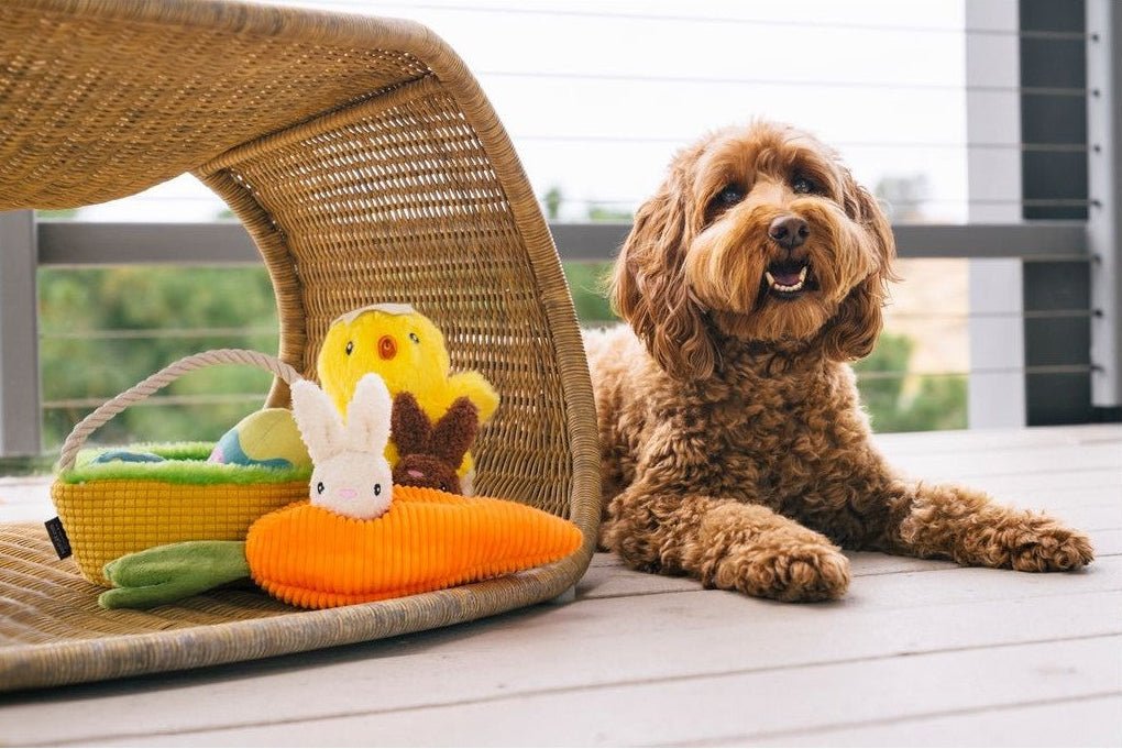 Dog sitting next to a wicker pet bed with Easter toys on a wooden deck.