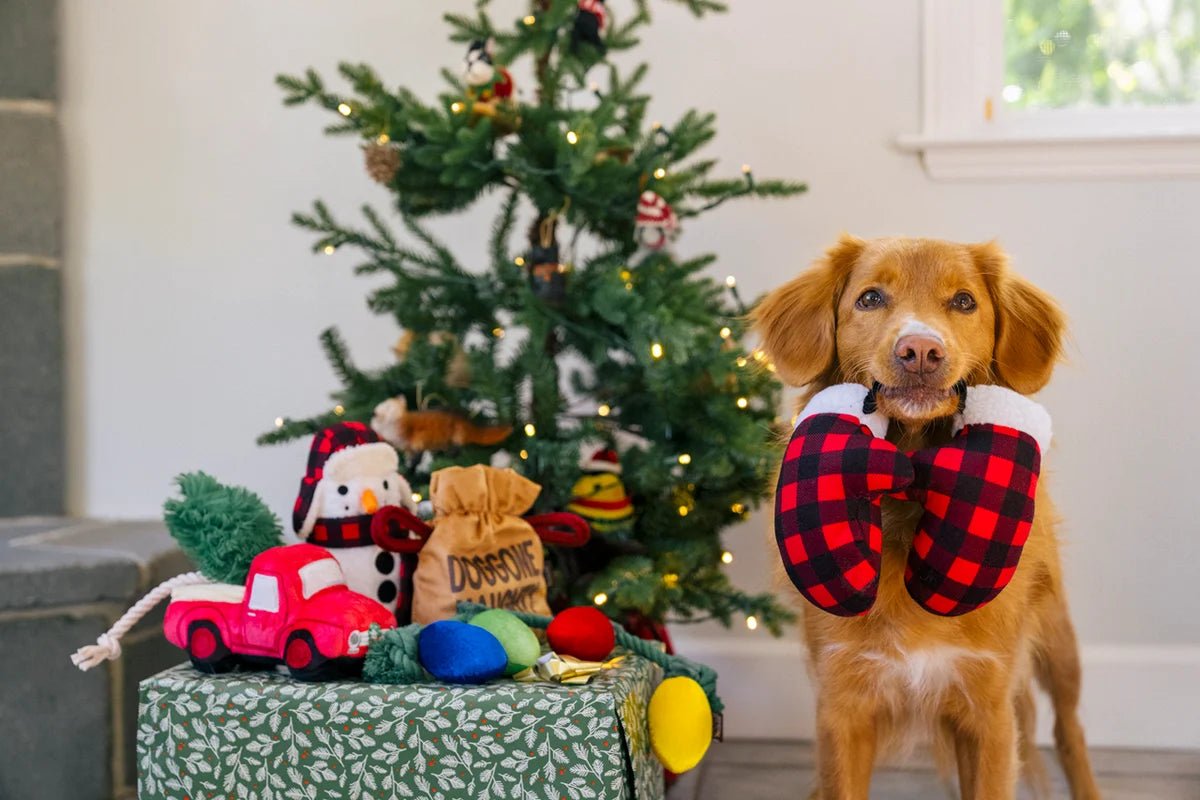 Home for the Holidays Mittens - Christmas Rope Dog Toy