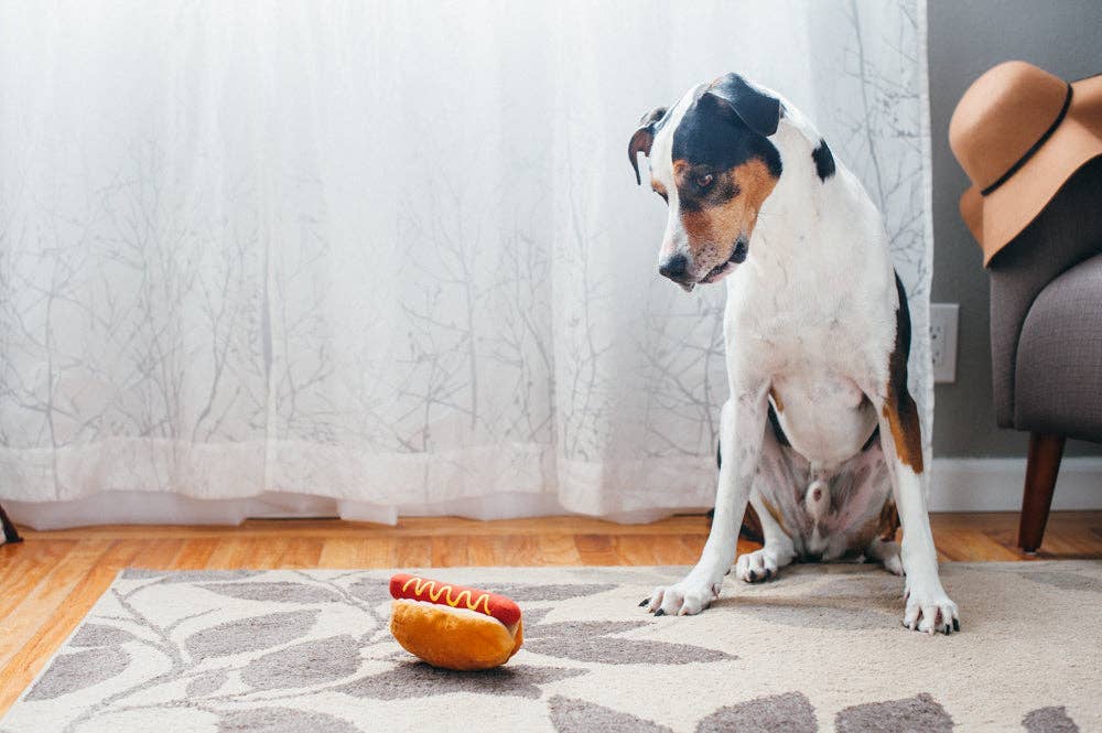 P.L.A.Y American Classic Hot Diggy Dog: M - Share Happy Outfits