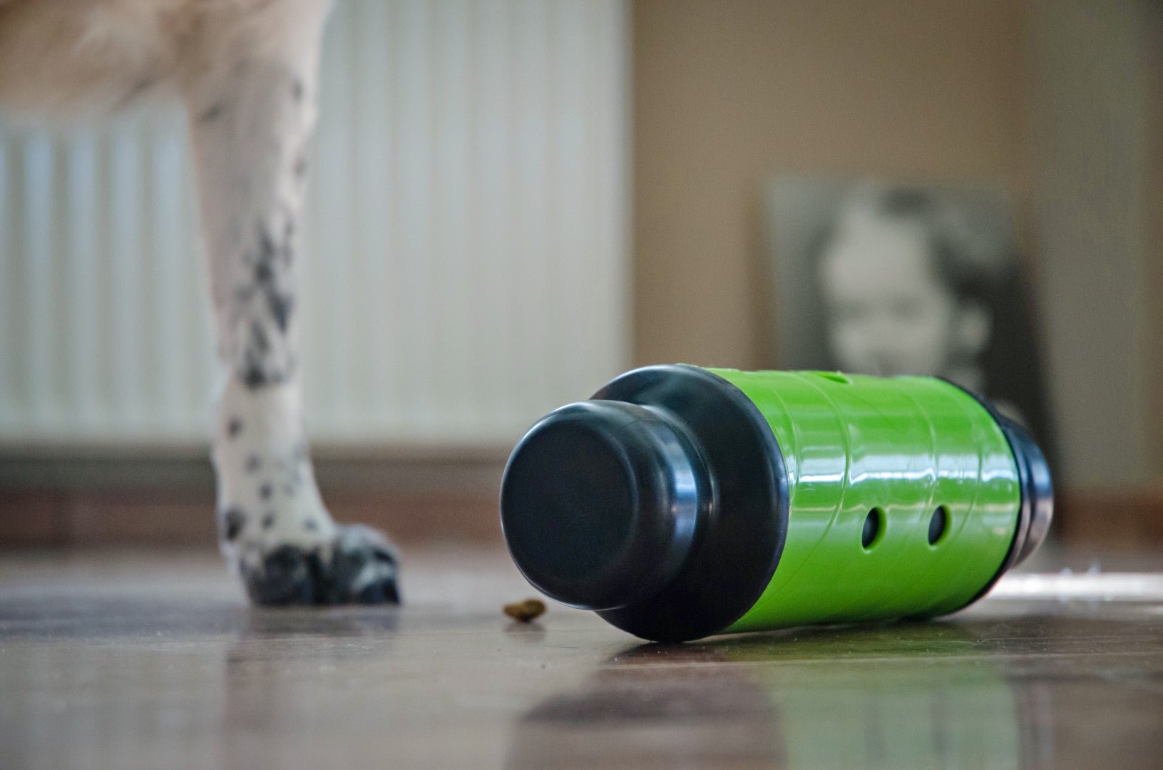 Green and black cylindrical object on a floor with a blurred cat in the background