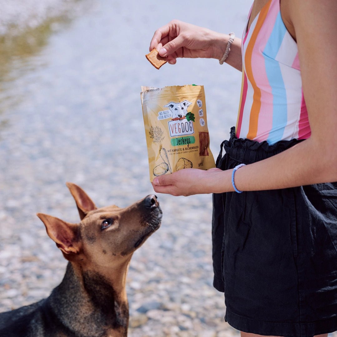 Person holding a bag of Vedos dog treats next to a dog outdoors.