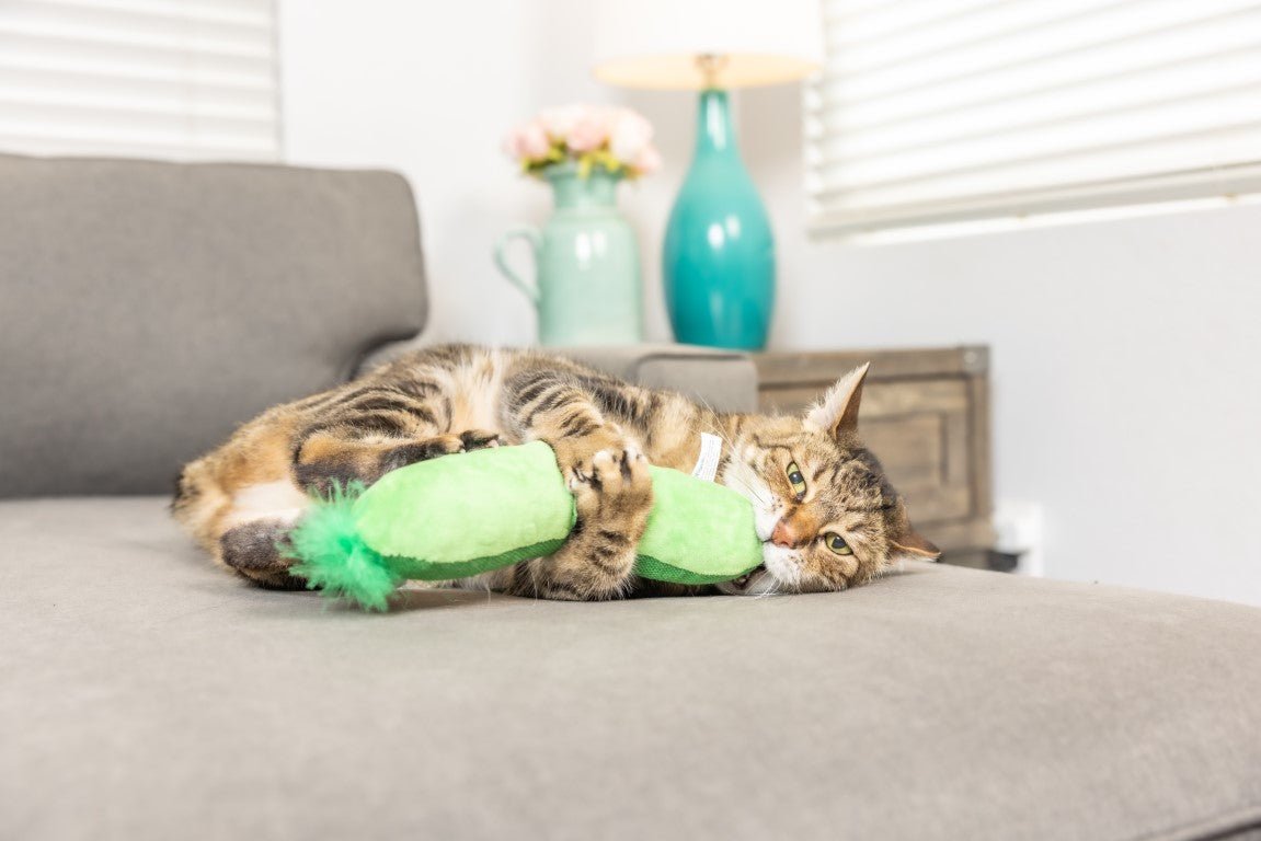 Cat playing with a green toy on a couch in a living room setting.