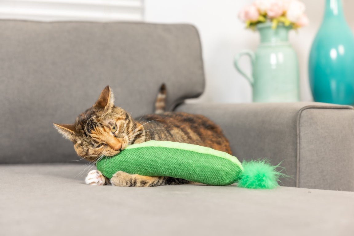Cat playing with a green toy on a gray couch