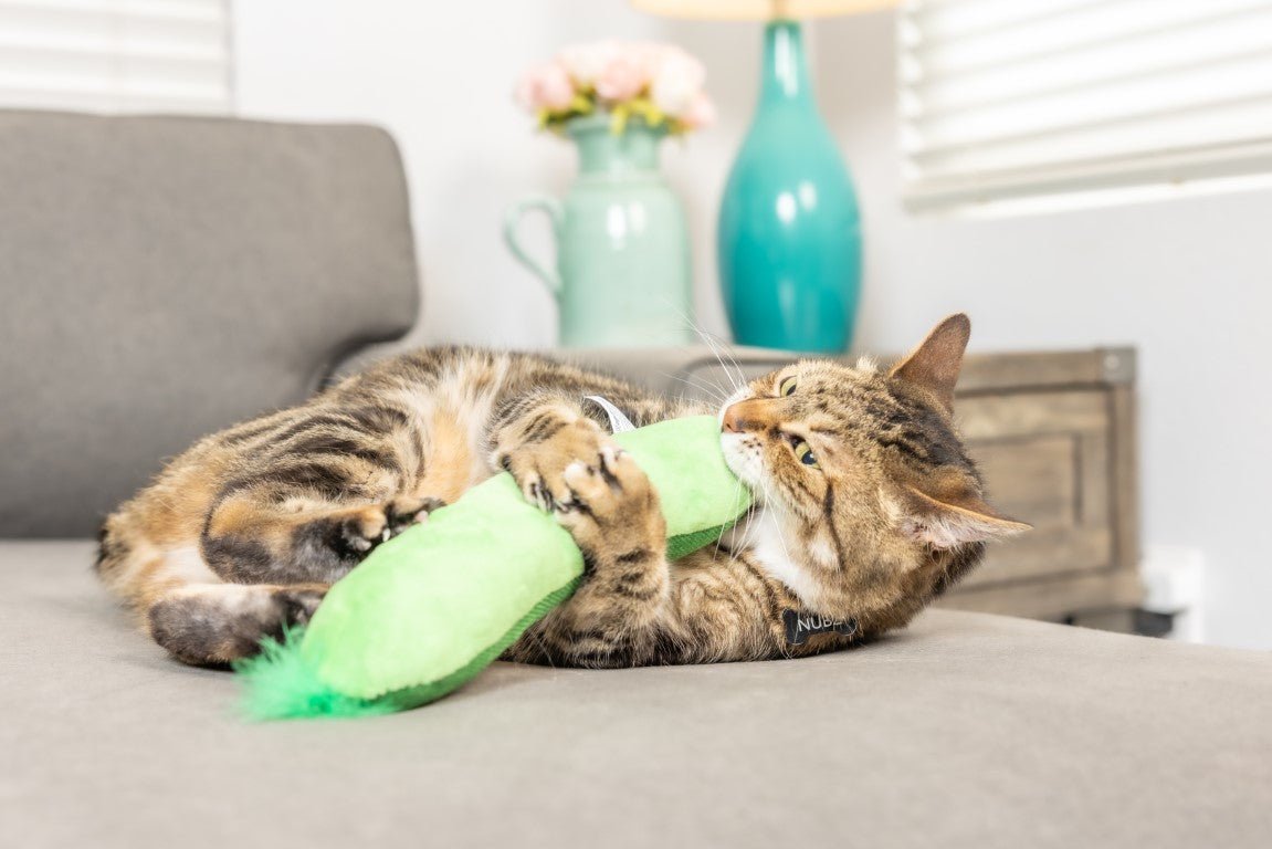 Cat playing with a green toy on a couch in a living room setting.