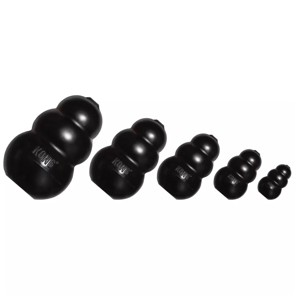 Set of black KONG dog toys in various sizes on a white background