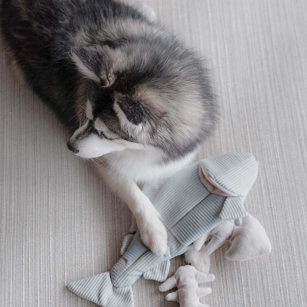 Lambwolf Collective Trout – 2-in-1 Burrow & Snuffle Dog Toy - Share Happy Outfits