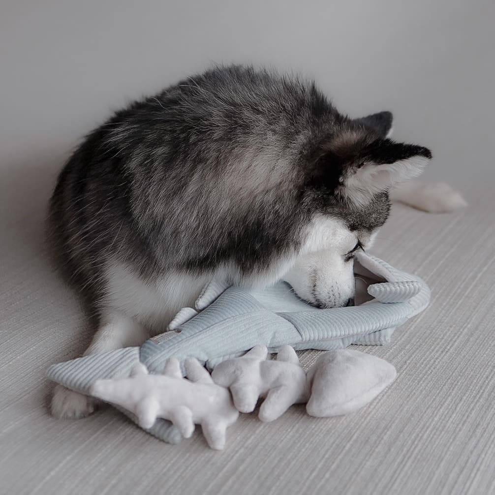 Lambwolf Collective Trout – 2-in-1 Burrow & Snuffle Dog Toy