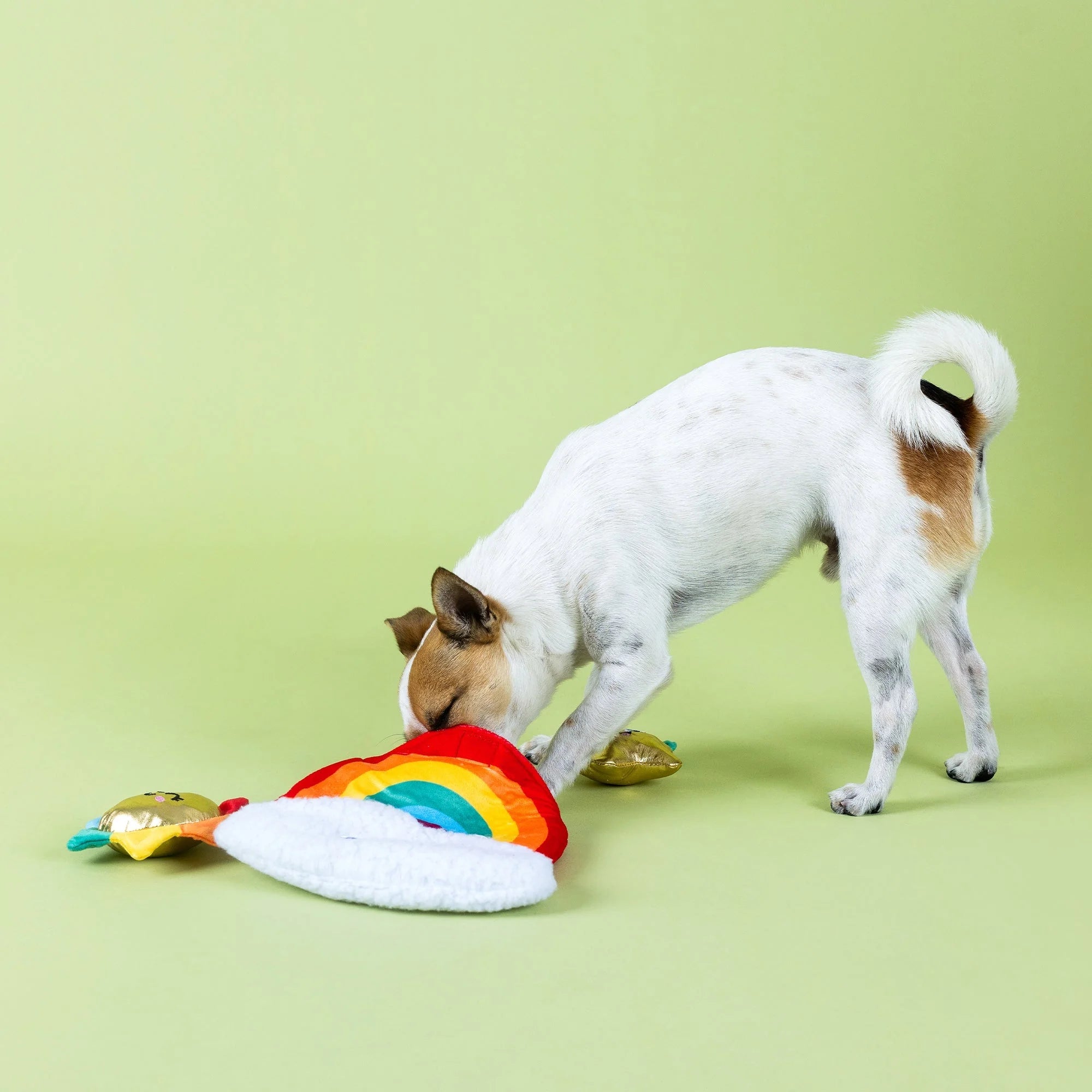 Look On The Bright Side Rainbow Hide & Seek Burrow - Share Happy Outfits