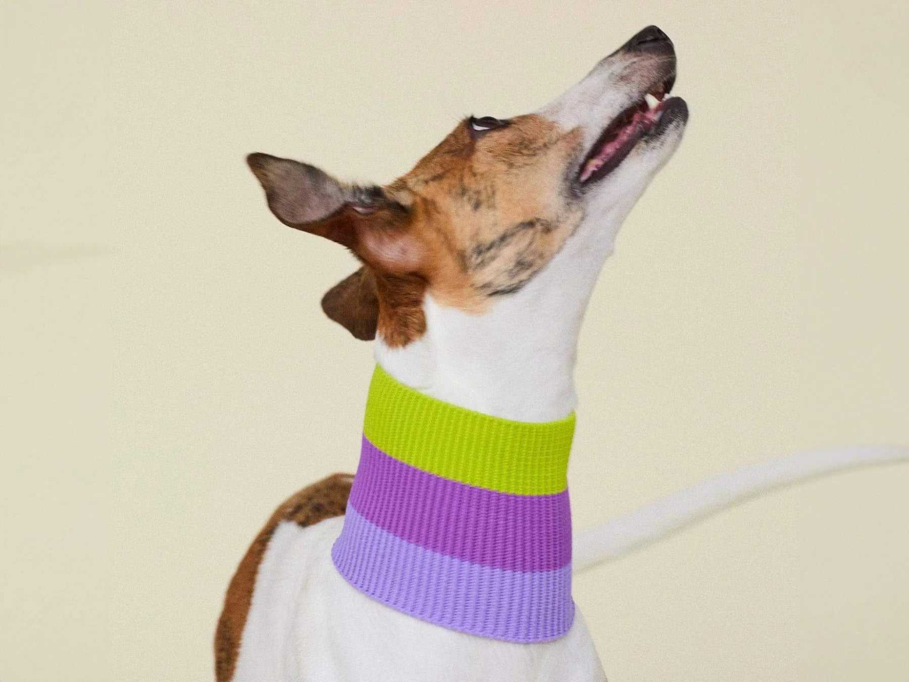 Viola Spring - The Glow Loop - Share Happy Outfits
