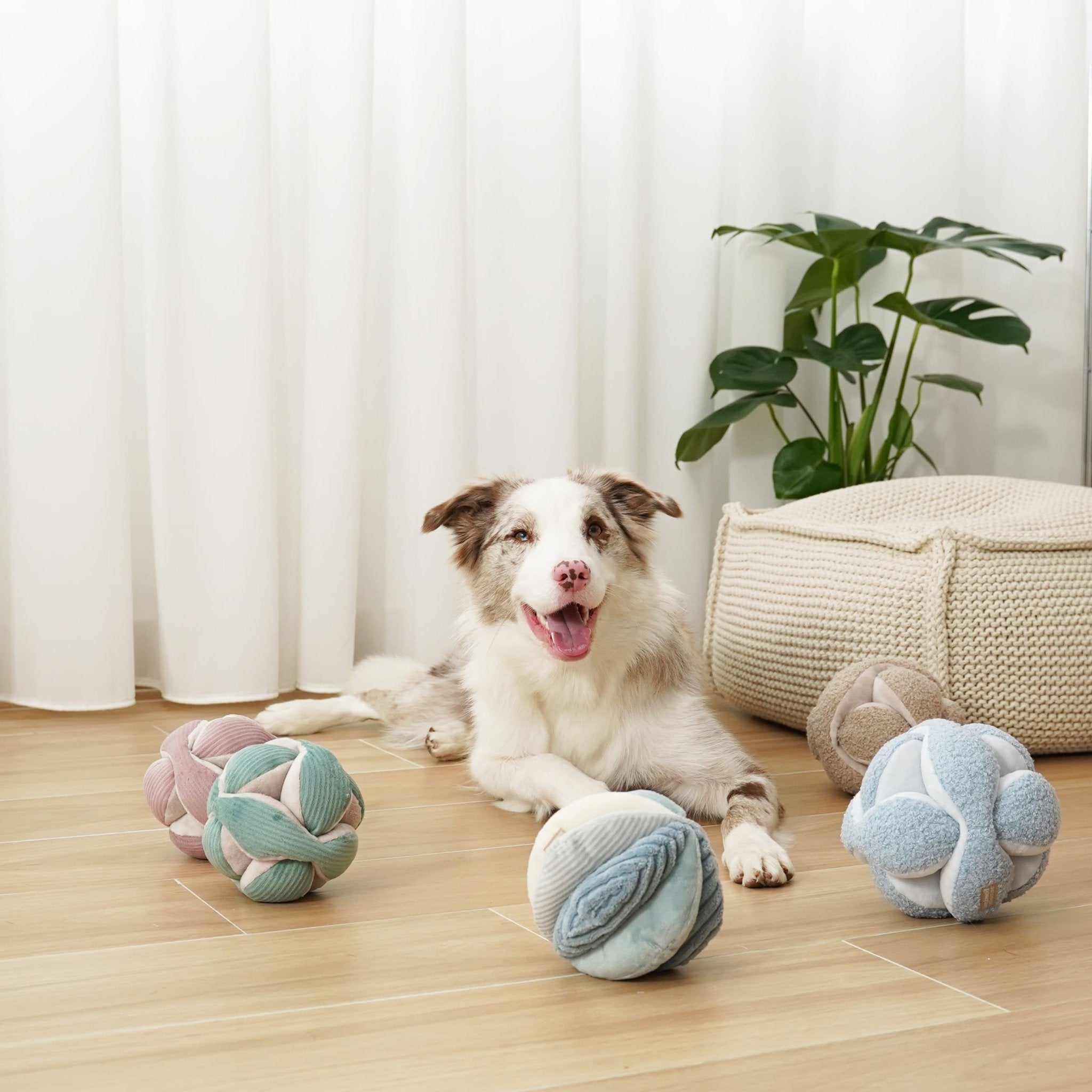 Monti – Montessori Snuffle Ball for Dogs - Share Happy Outfits