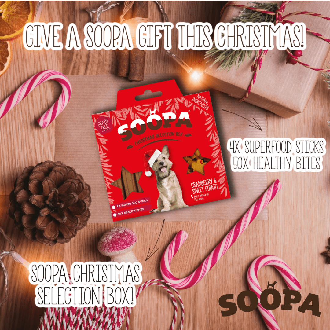 Natural Vegan Christmas Selection Box - Cranberry & Sweet Potato - Share Happy Outfits