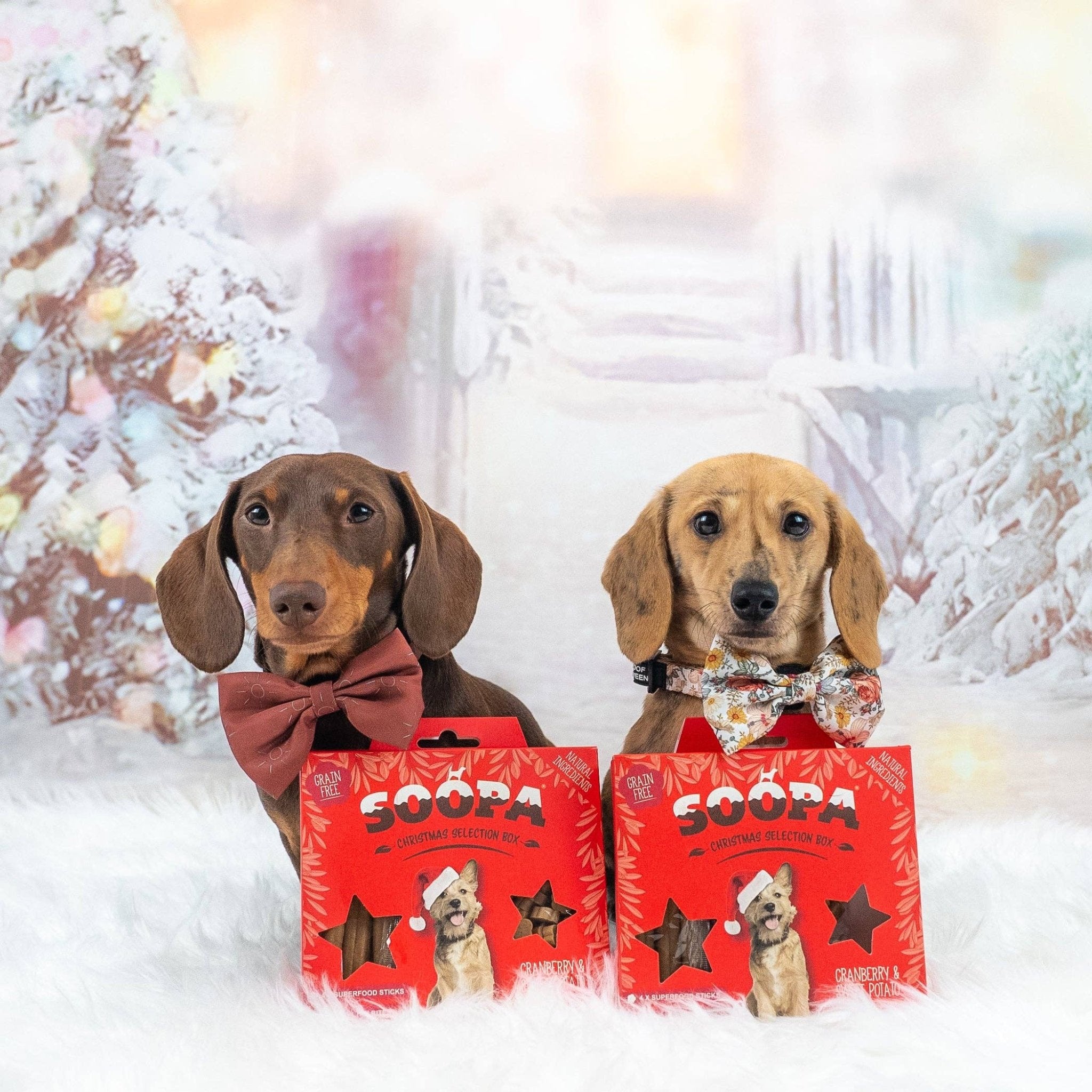 Natuurlijke Veganistische Kerstselectiebox - Cranberry & Zoete Aardappel - Share Happy Outfits