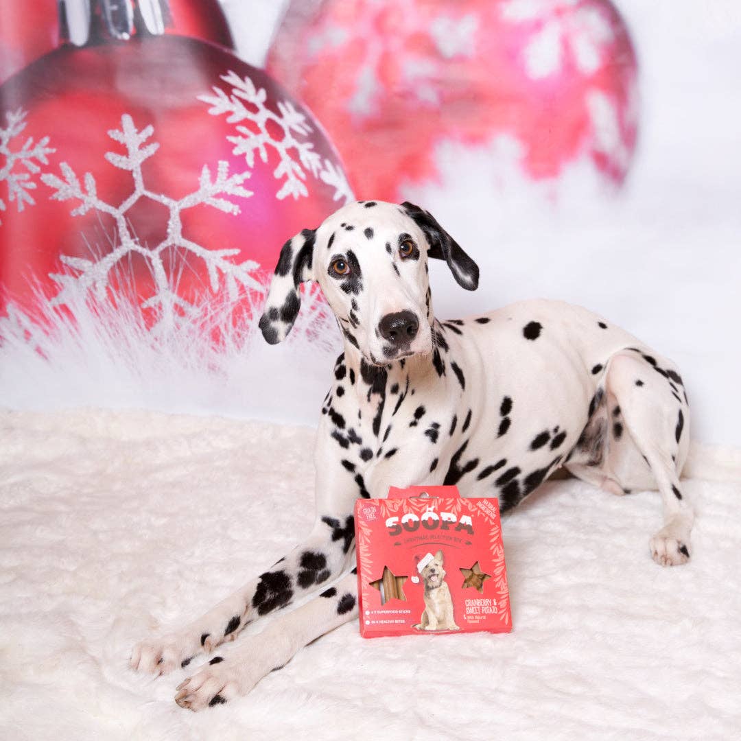 Natuurlijke Veganistische Kerstselectiebox - Cranberry & Zoete Aardappel - Share Happy Outfits