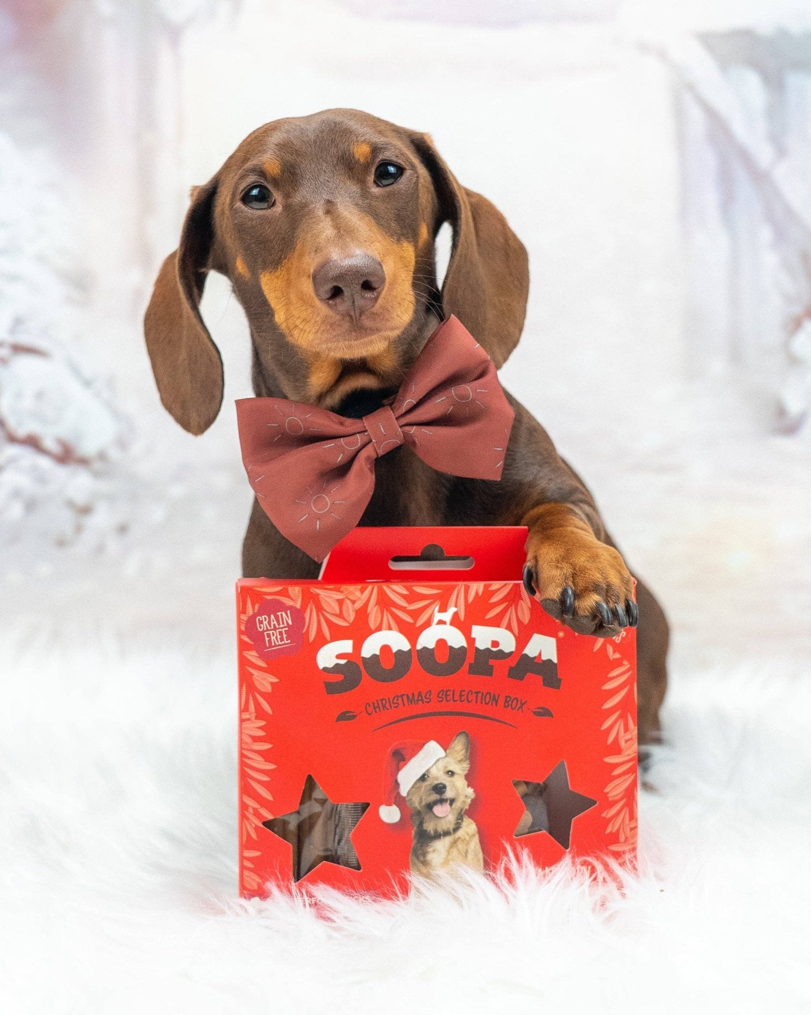 Natural Vegan Christmas Selection Box - Cranberry & Sweet Potato - Share Happy Outfits
