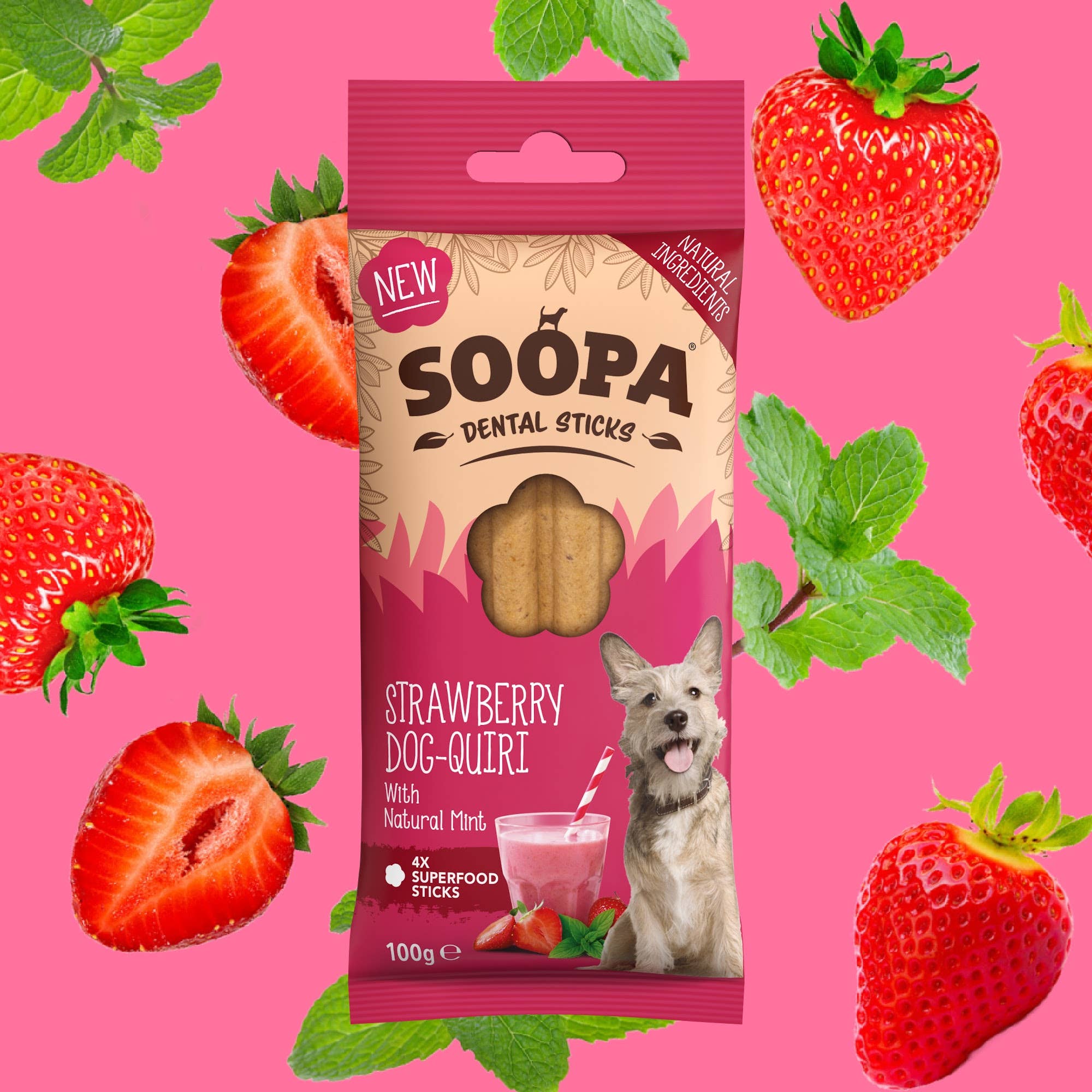 Natural Vegan Dog Dental Treat – Strawberry Dog-Quiri Sticks - Share Happy Outfits