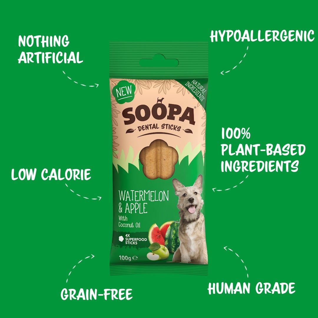 Package of Soopa Dental Sticks for dogs on a green background with product features highlighted.