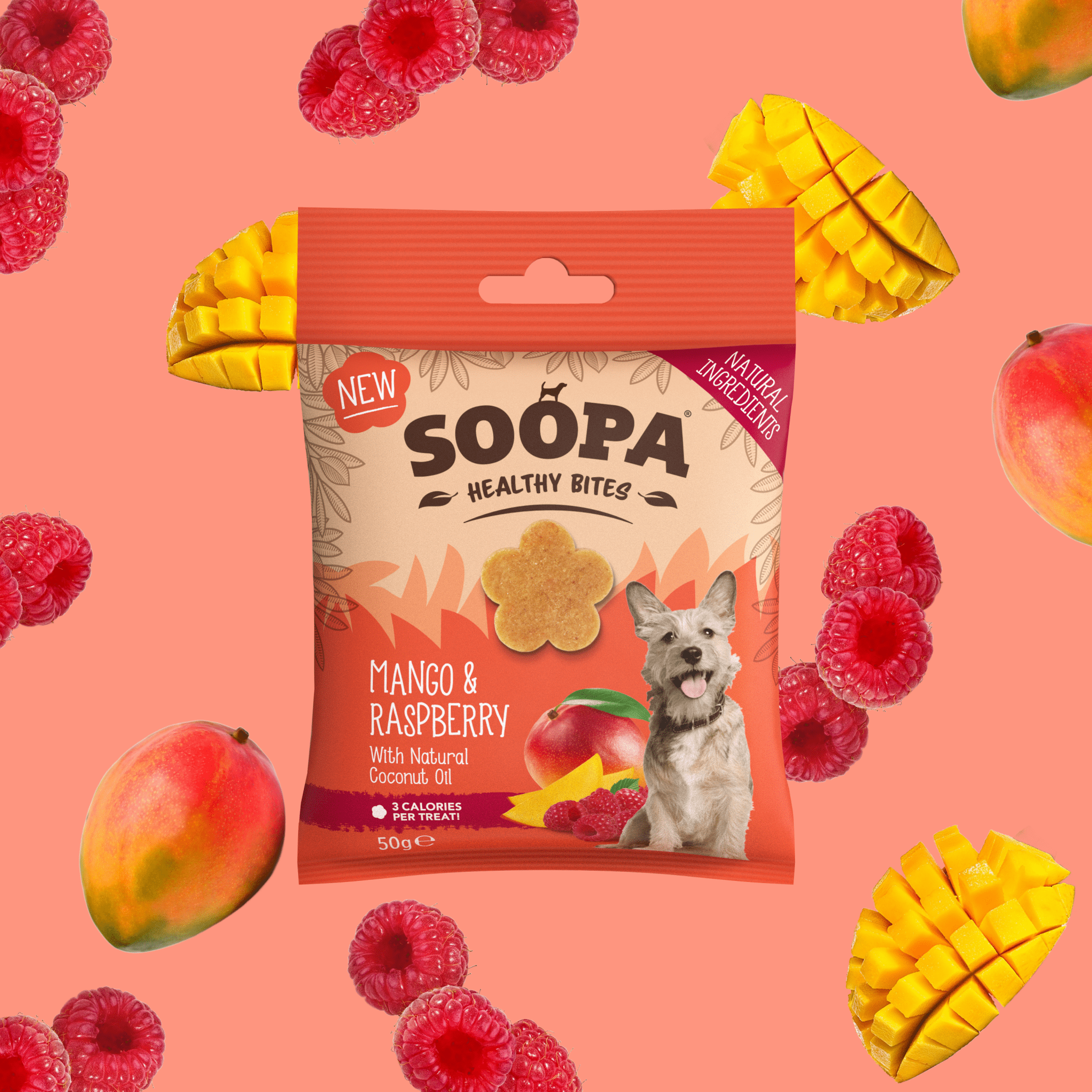 Friandises saines naturelles véganes pour chiens - Mangue & Framboise - Partagez des tenues joyeuses