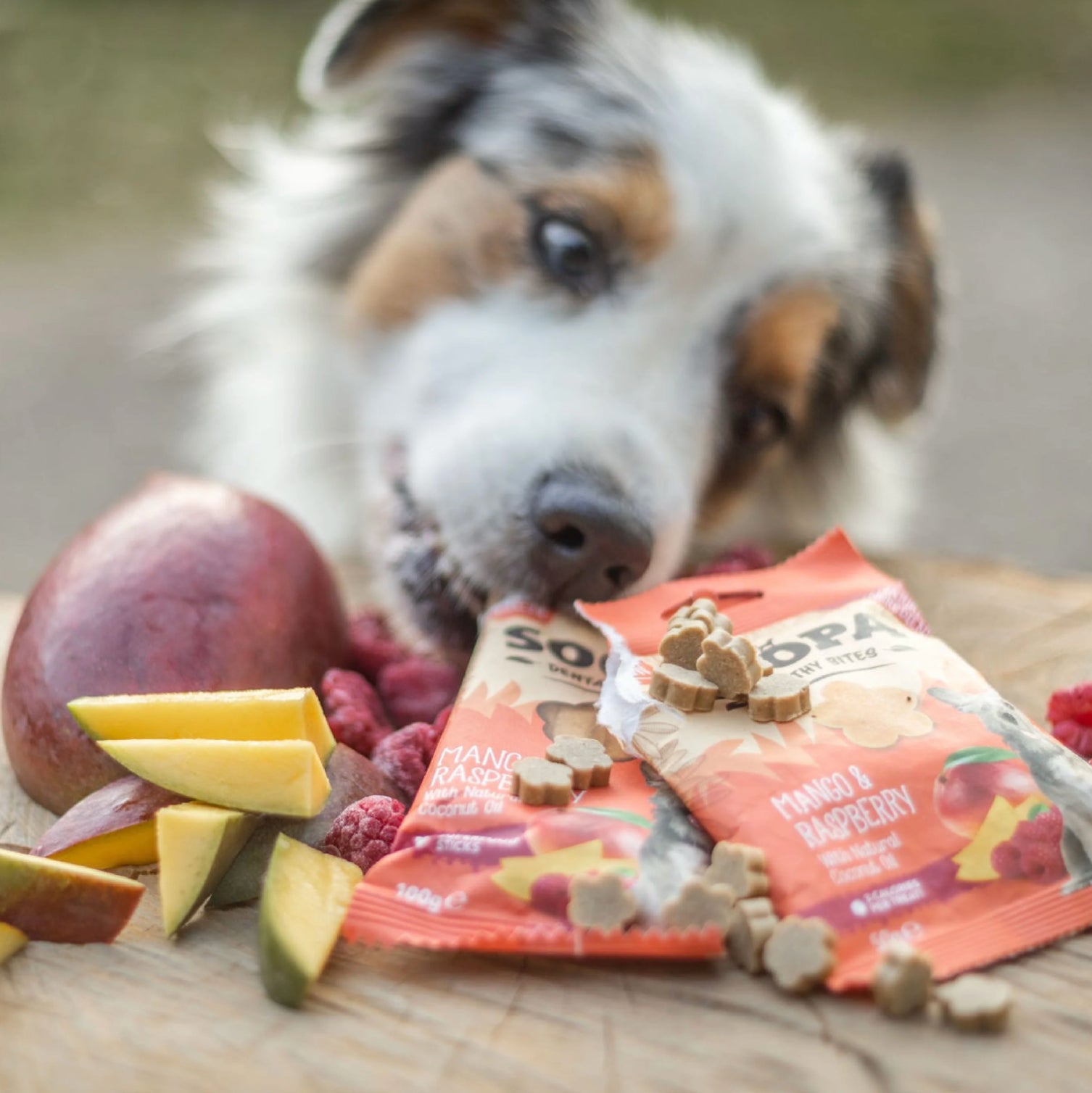Friandises saines naturelles véganes pour chiens - Mangue & Framboise - Partagez des tenues joyeuses