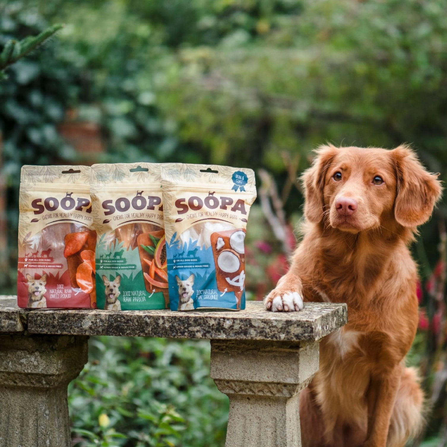 Natural Vegan Dog Treat - Sweet Potato Chews - Share Happy Outfits