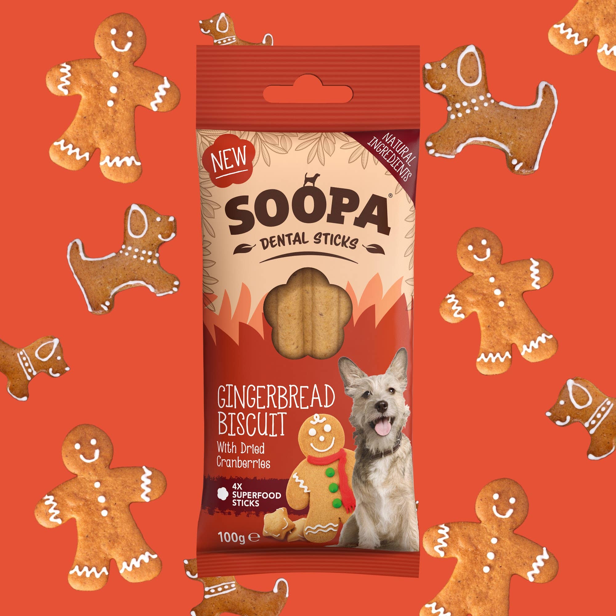Natural Vegan Gingerbread Biscuit Dental Sticks - Share Happy Outfits