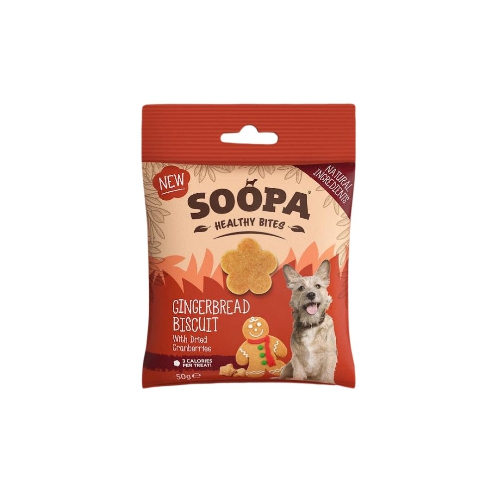 Natural Vegan Gingerbread Biscuit Healthy Bites - Share Happy Outfits
