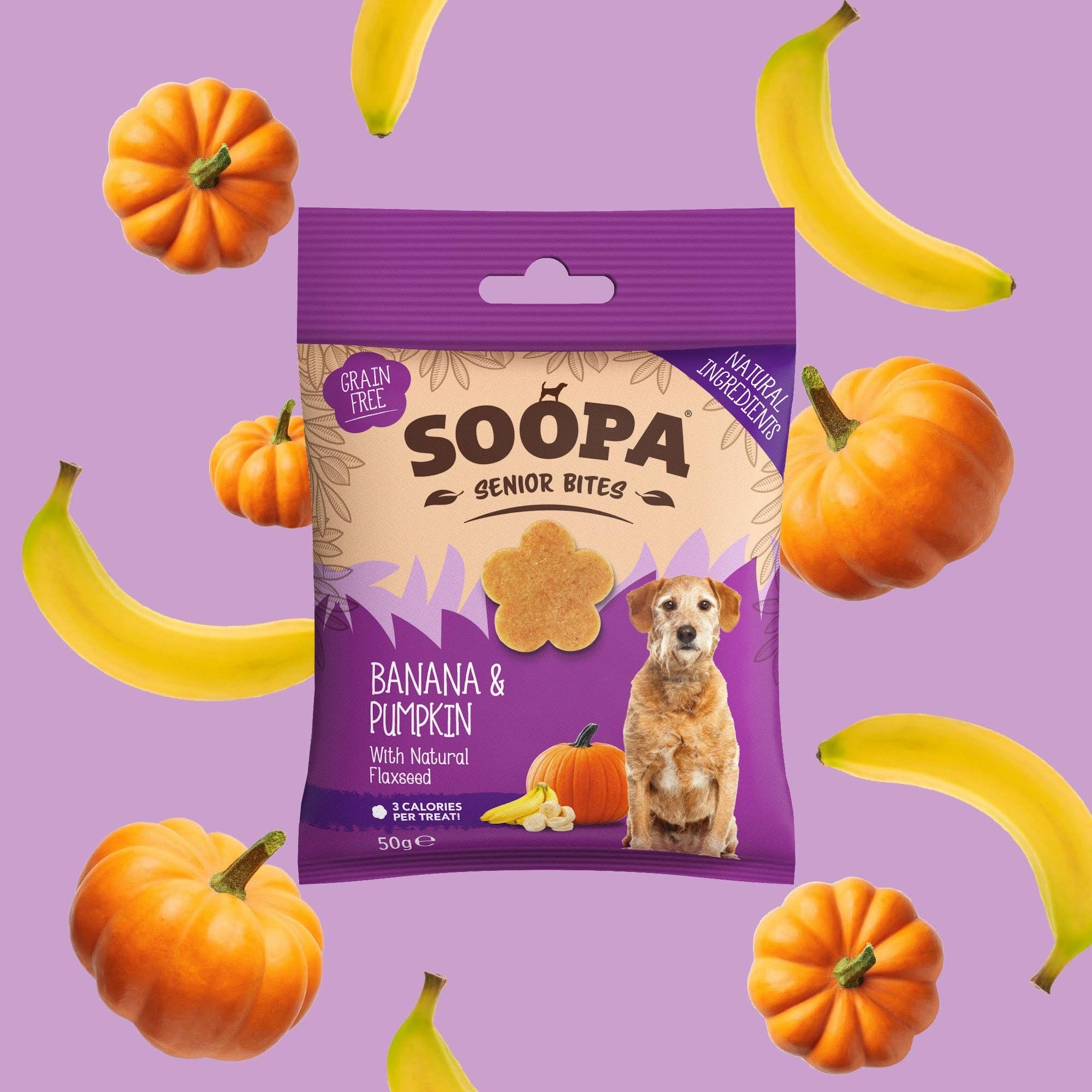 Naturliga Veganska Hälsosamma Bitar - Banan, Pumpa & Linfrö för Äldre Hundar - Dela Glada Kläder