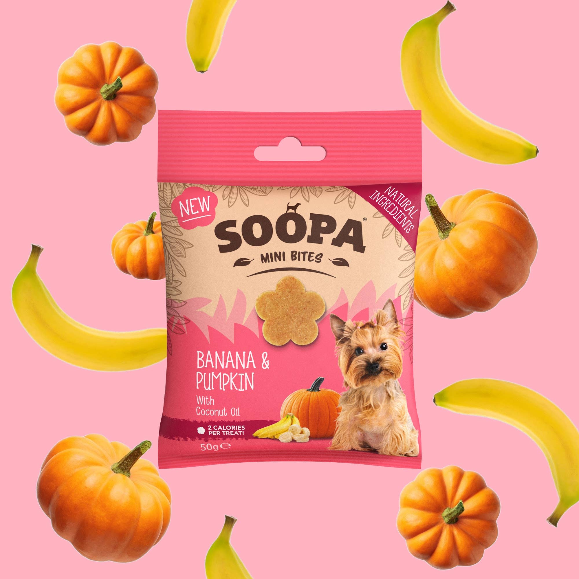 Natural Vegan Mini Dog Healthy Bites - Banana & Pumpkin - Share Happy Outfits