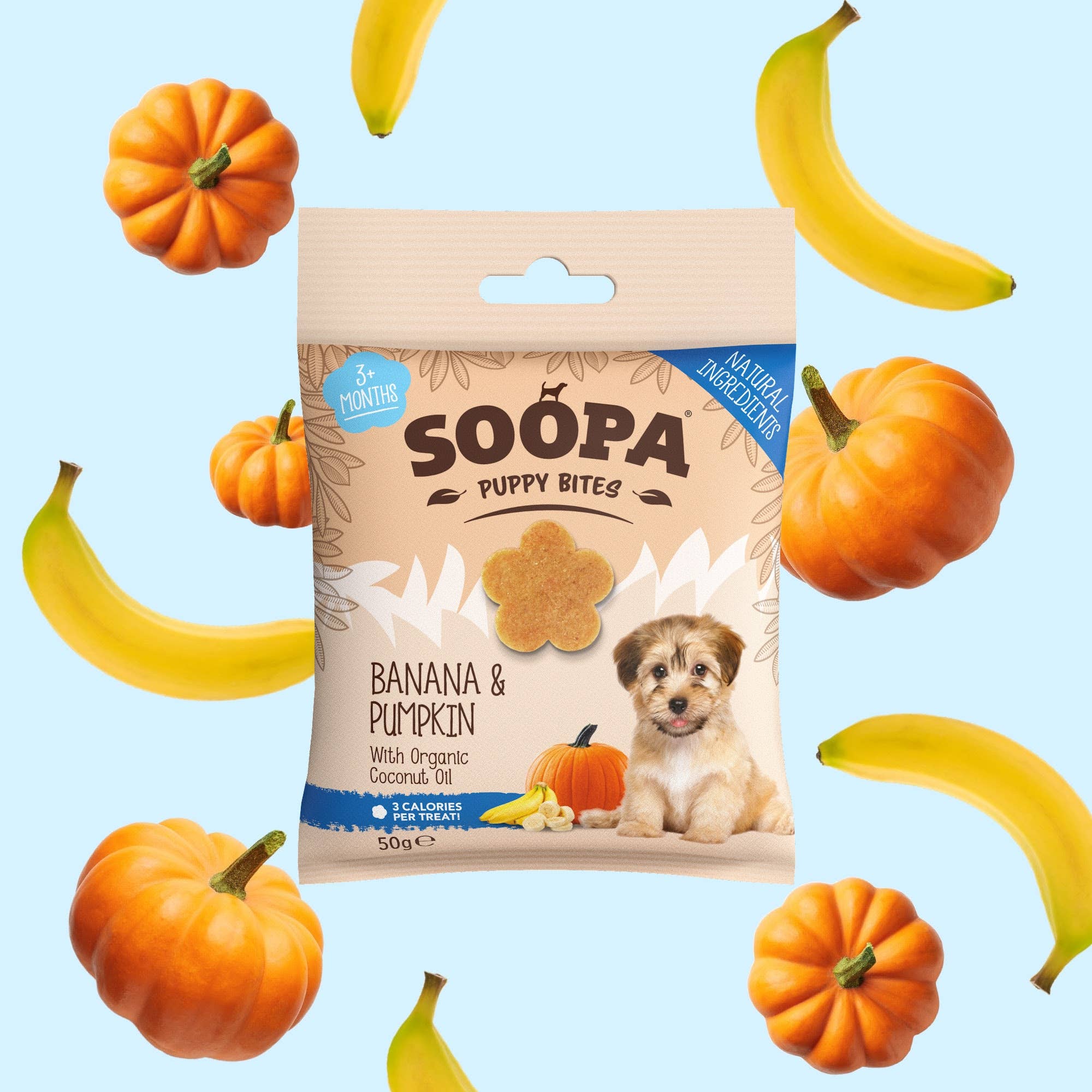 Natural Vegan Puppy Training Bites - Banana & Pumpkin - Share Happy Outfits