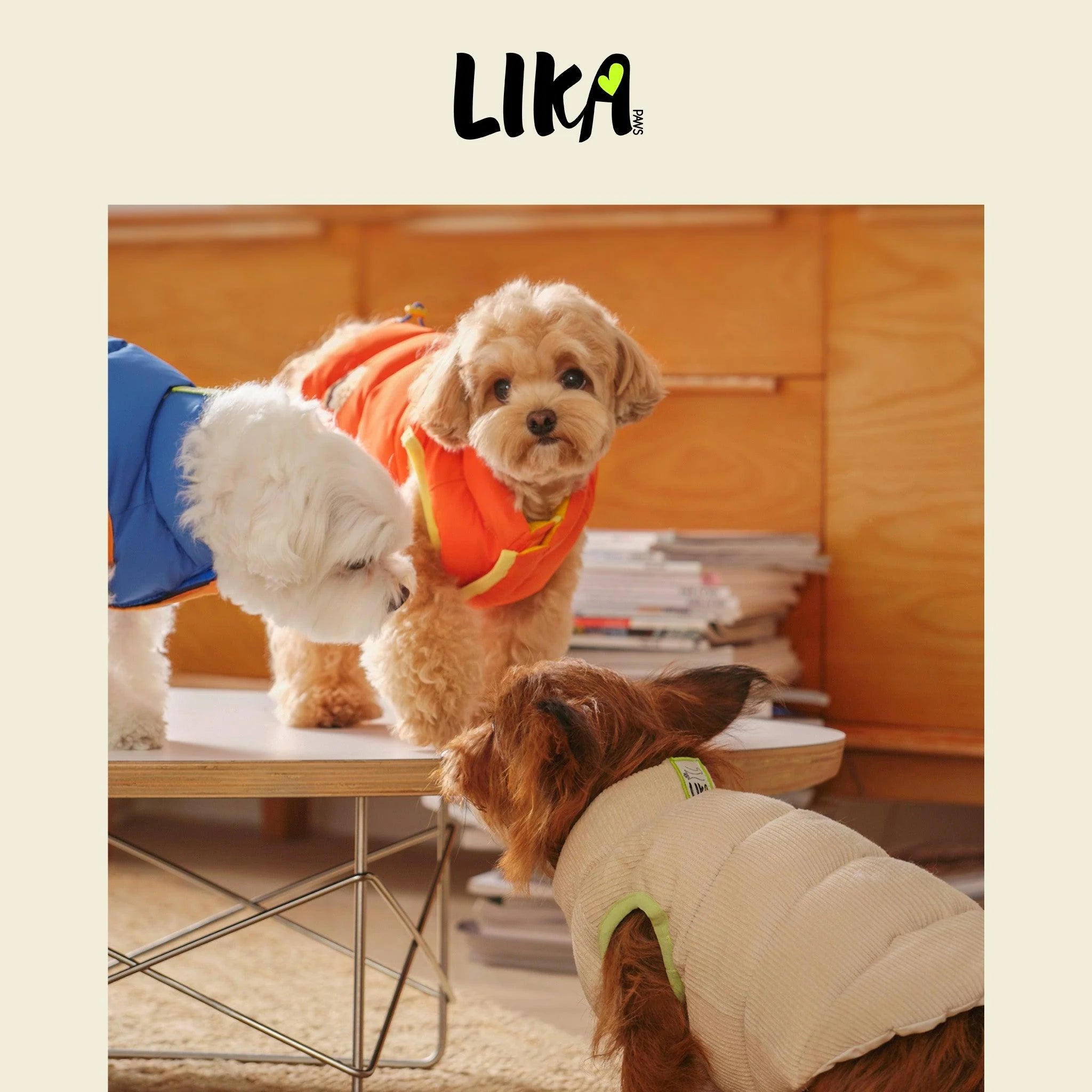 Nordic Style Reversible Padded Dog Jacket - Share Happy Outfits