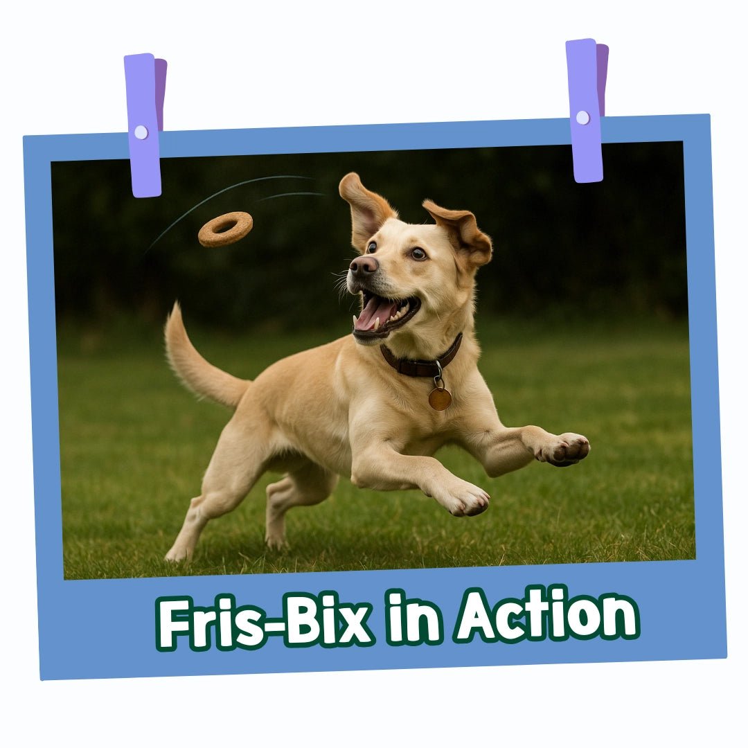 Park Life Fris-Bix – Peanut Butter Dog Treats – Interactive Frisbee Biscuits – Grain-Free & Natural (100g) - Share Happy Outfits