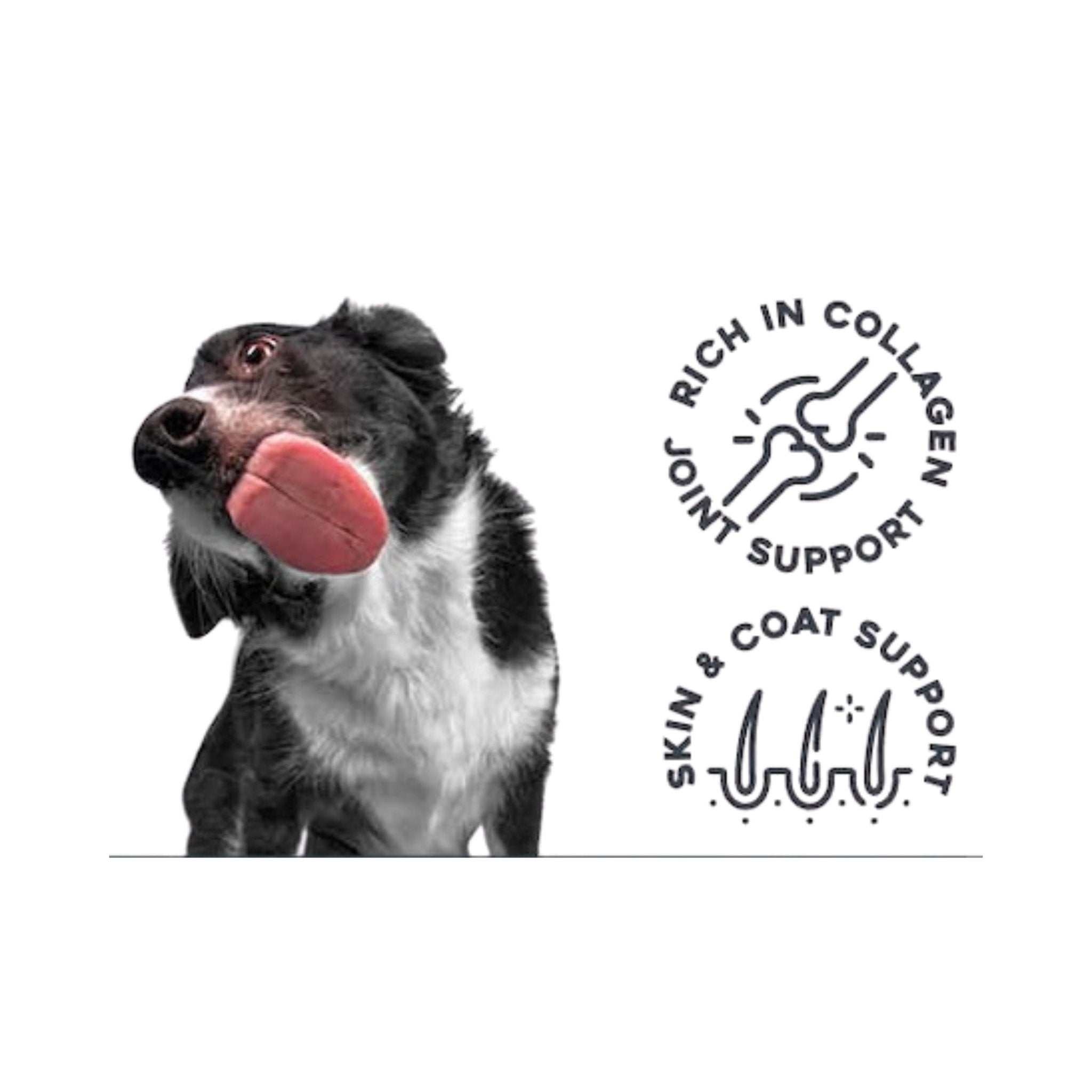 Dog with a brand logo on a white background