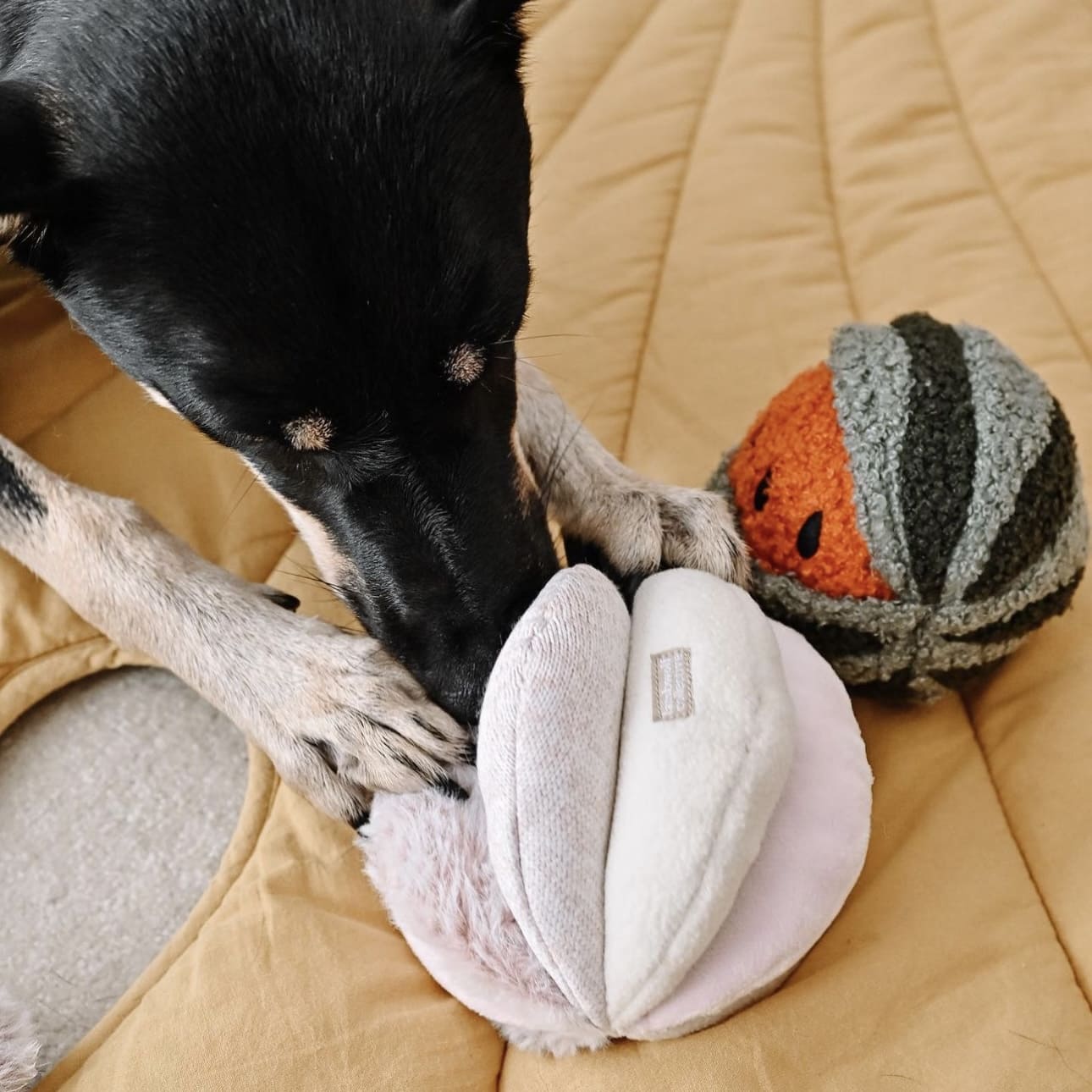 Pink Toto – Sensory Snuffle Ball for Dogs - Share Happy Outfits