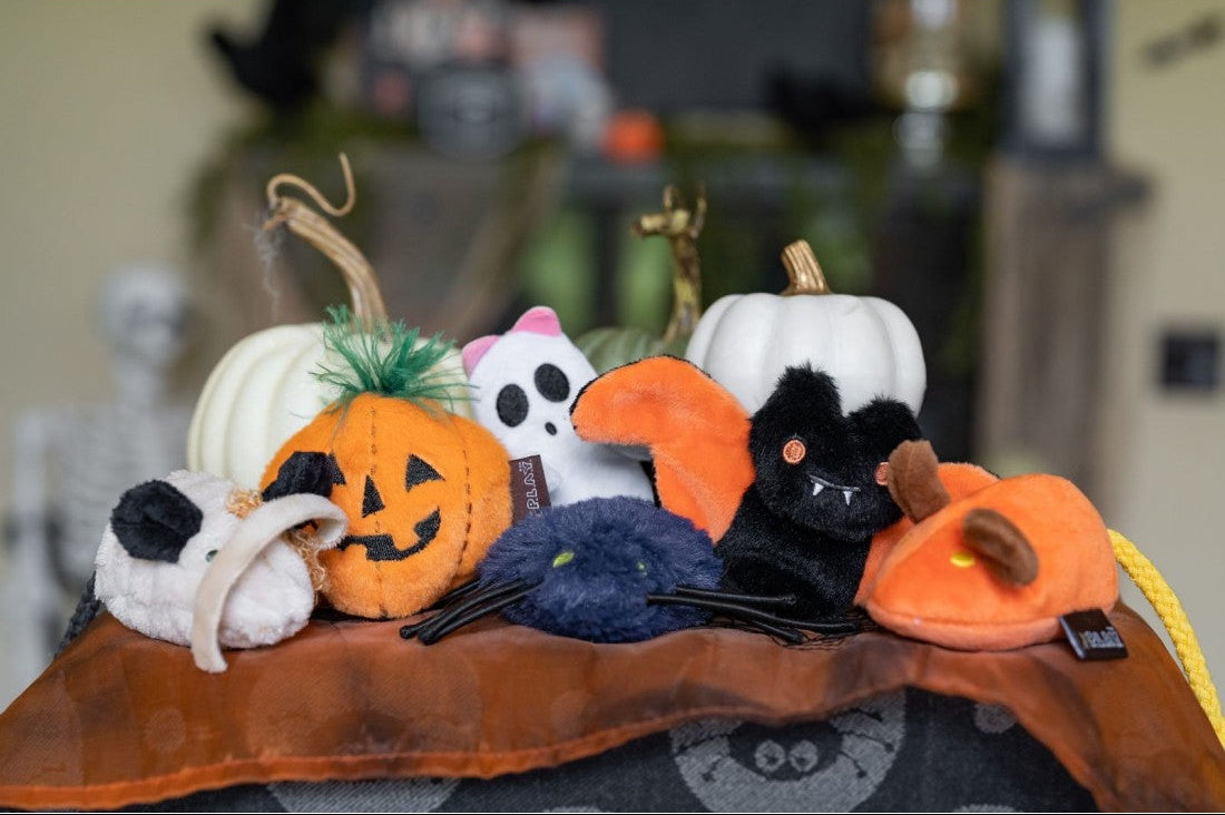 A collection of small plush Halloween-themed pet toys, including jack-o&