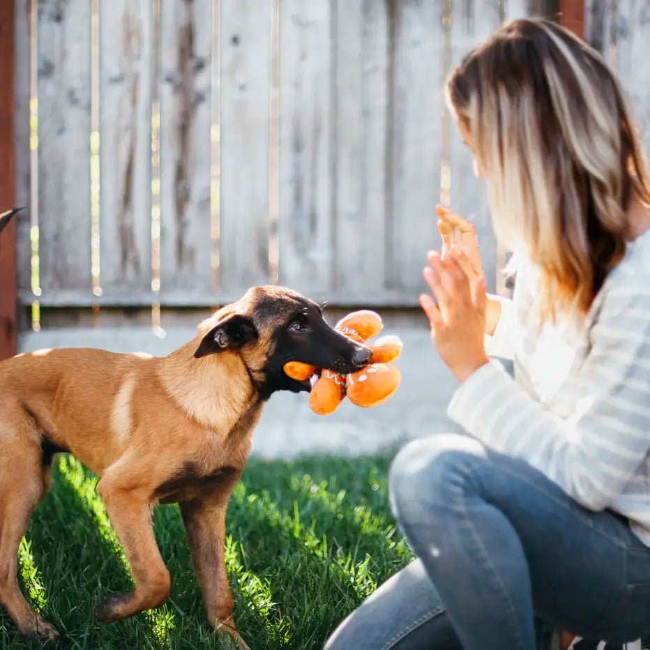 Woman sitting on grass with a dog playing with a toy outdoors