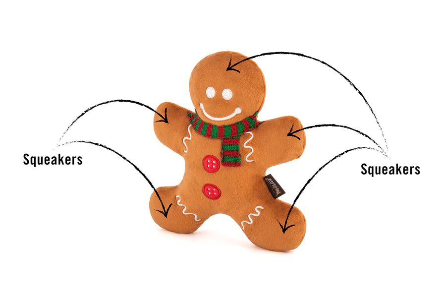 Gingerbread man dog toy with labeled squeakers on a white background