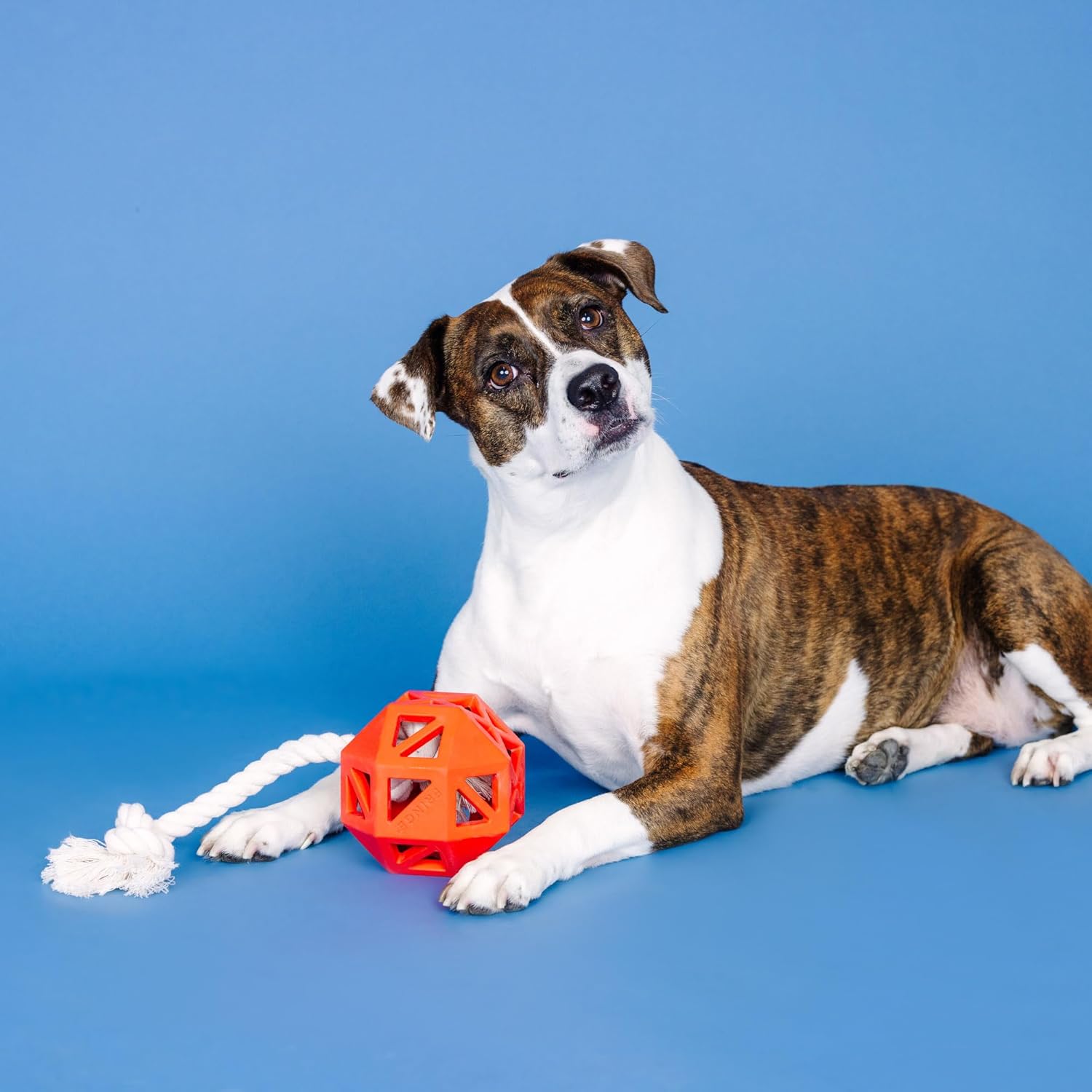 "Pull My Way" Rubber Dog Toy – Treat Dispenser & Tug Toy