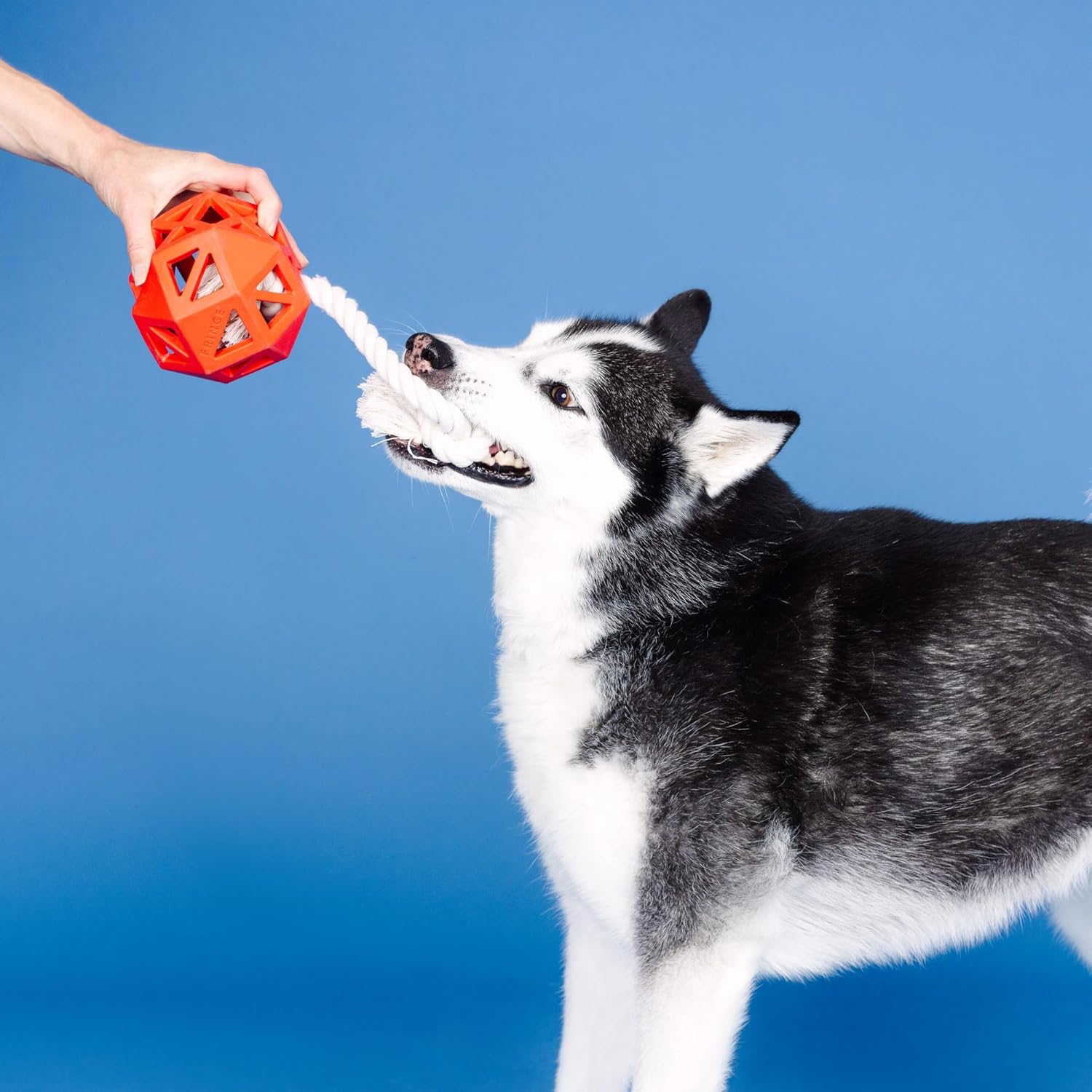 "Pull My Way" Rubber Dog Toy – Treat Dispenser & Tug Toy